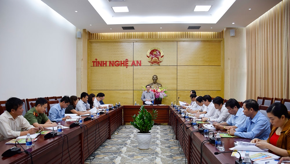 Đồng chí Đinh Viết Hồng, Phó Chủ tịch UBND tỉnh chủ trì buổi làm viêc. Ảnh: Phú Hương