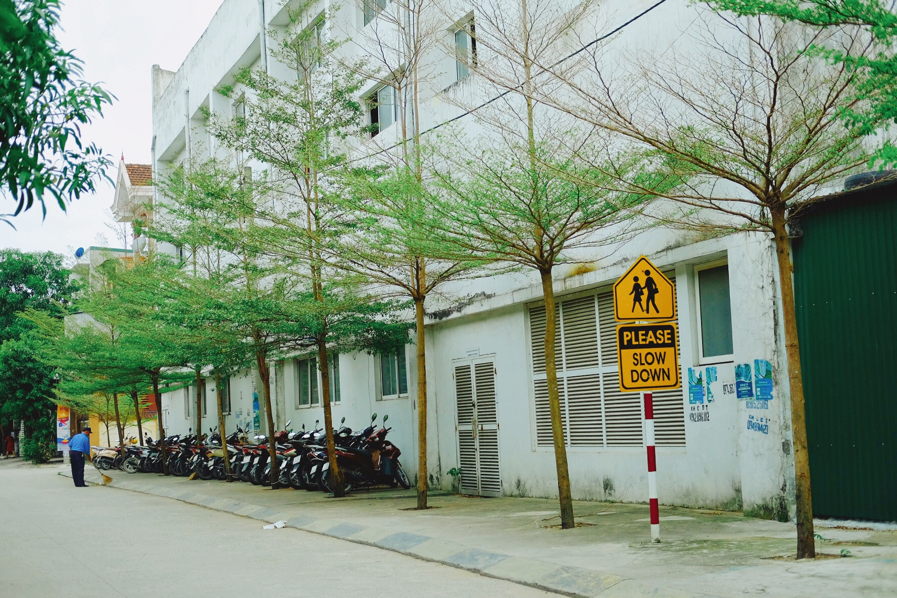 Một góc vỉa hè sạch sẽ, yên tĩnh dưới hàng cây xanh mát giống như khung cảnh một con phố ở Hàn Quốc, Nhật Bản. Ảnh: Hà Giang