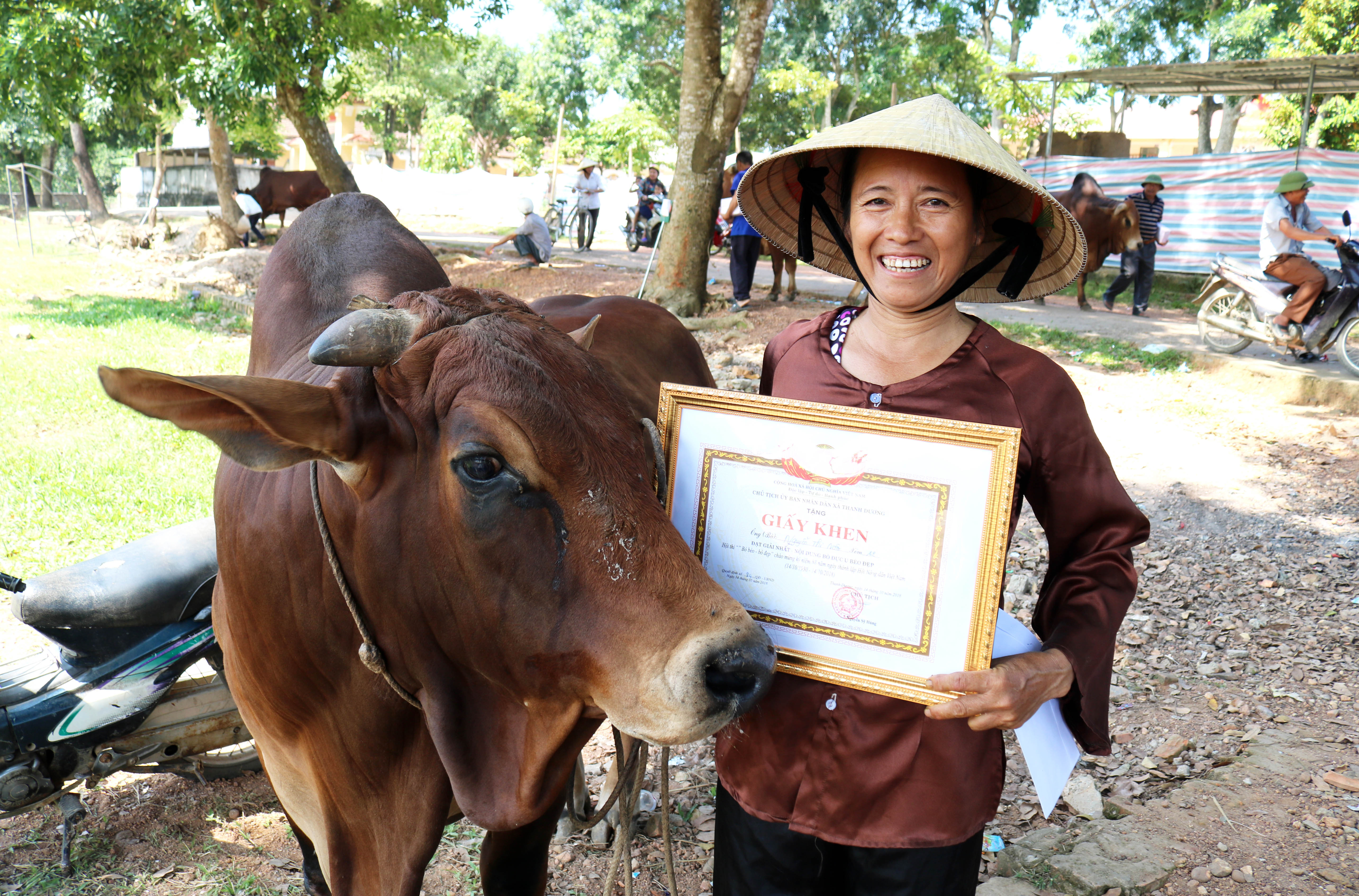 Niềm vui giành được giải Nhất (bò đực) của bà  Nguyễn Thị Năm ở xóm 12 xã Thanh Dương. Ảnh: Huy Thư