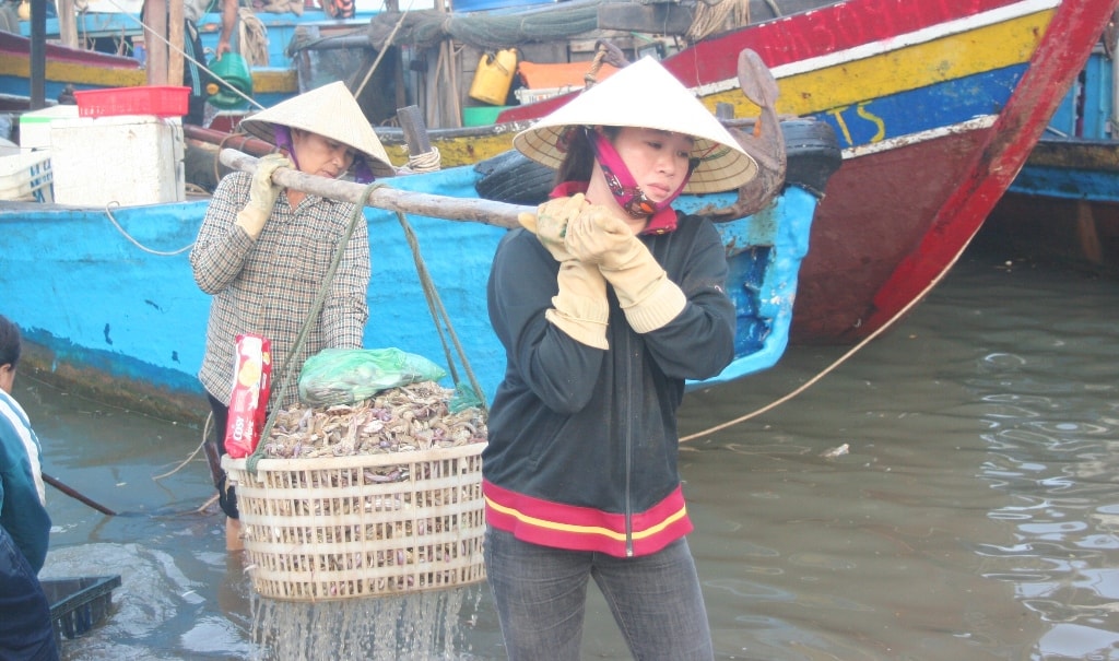 Những quang gánh đầy ắp tôm tít được người thân các ngư dân vận chuyển lên bờ. Ảnh: Việt Hùng
