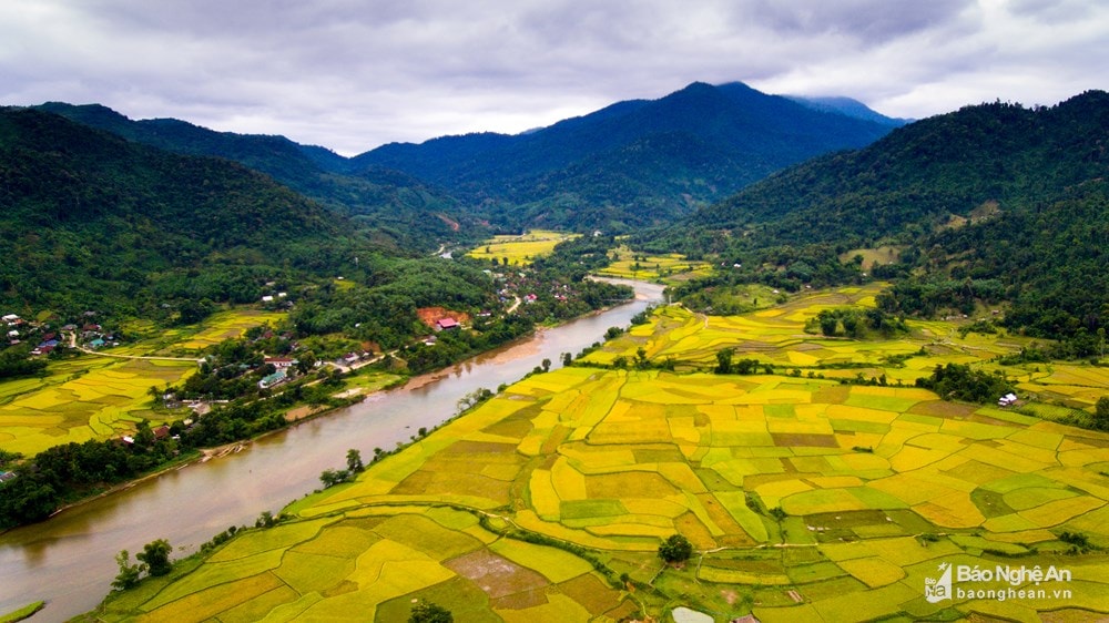 Miền Trung hôm nay được dự báo ngày nắng, đêm có mưa rào và dông. Trong ảnh: Mùa Thu trên Cánh đồng lúa xã Hạnh Dịch (Quế Phong, Nghệ An). Ảnh tư liệu