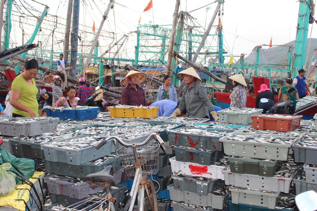 Chiều 15/10, tàu cá NA 90722 TS của ngư dân Nguyễn Văn Xoan ở xã Tiến Thủy về cảng Lạch Quèn để vận chuyển cá xuống nhập bán cho thương lái. Ảnh: Việt Hùng