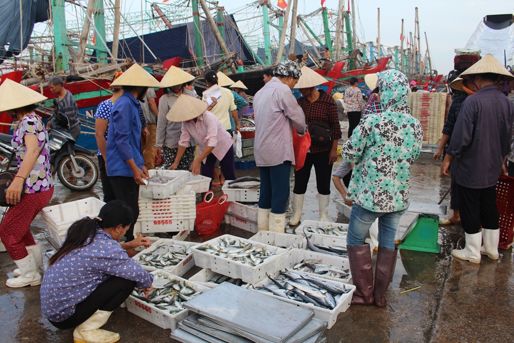 Thương lái tập trung thu mua cá khi tàu về bờ. Ảnh: Việt Hùng