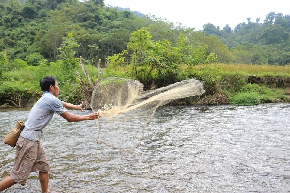 Sau khi dụ cá đến, nhanh tay tung lưới đánh cá. Ảnh: Lữ Phú