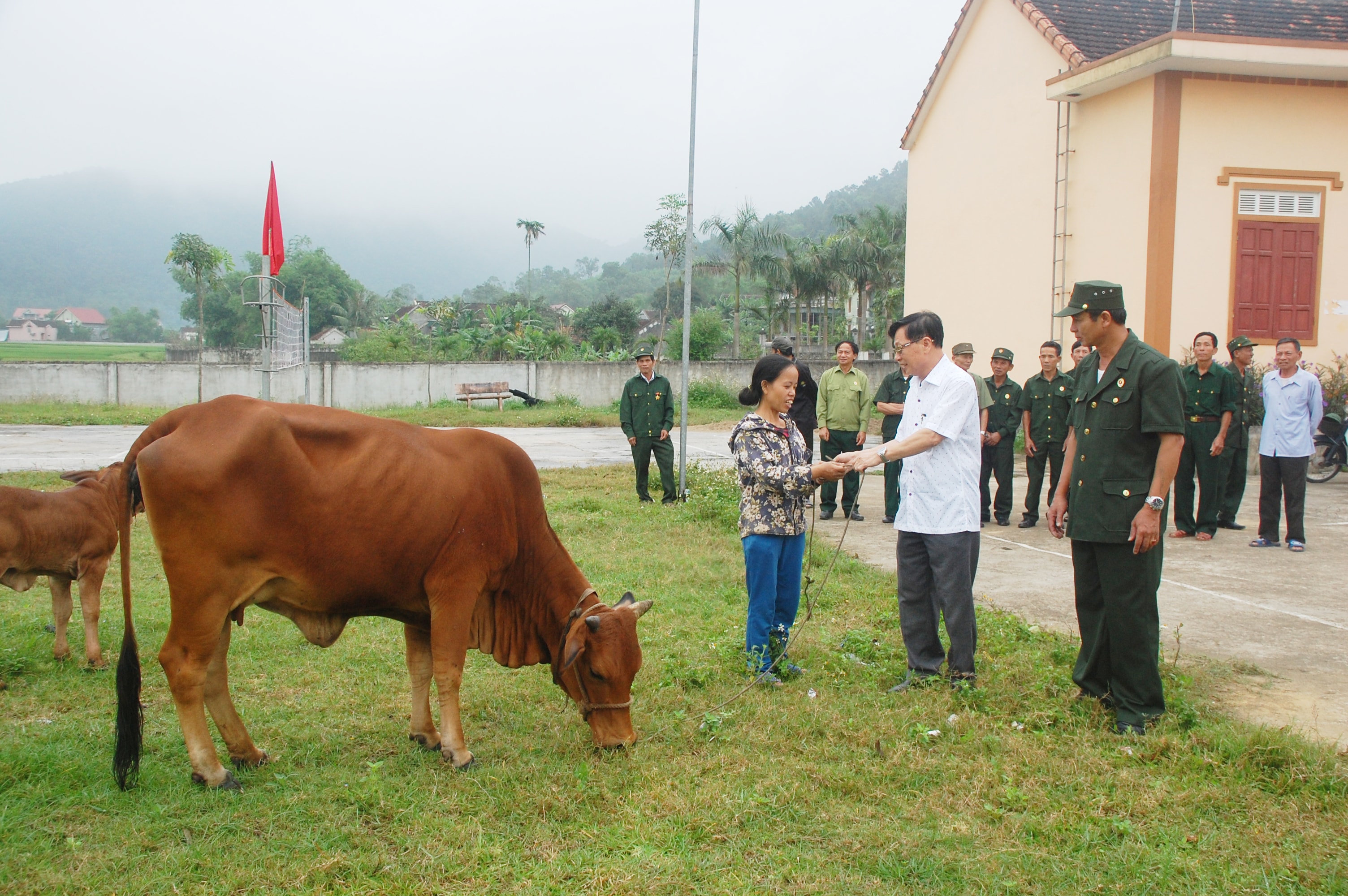 Trích góp tiền thường Bằng khen các cấp hơn 30 năm công tác ông Nguyễn Trí Hóa - Bí thư Đảng ủy xã Sơn Thành mua bò tặng hộ nghèo. Ảnh: Phạm Anh Tuấn