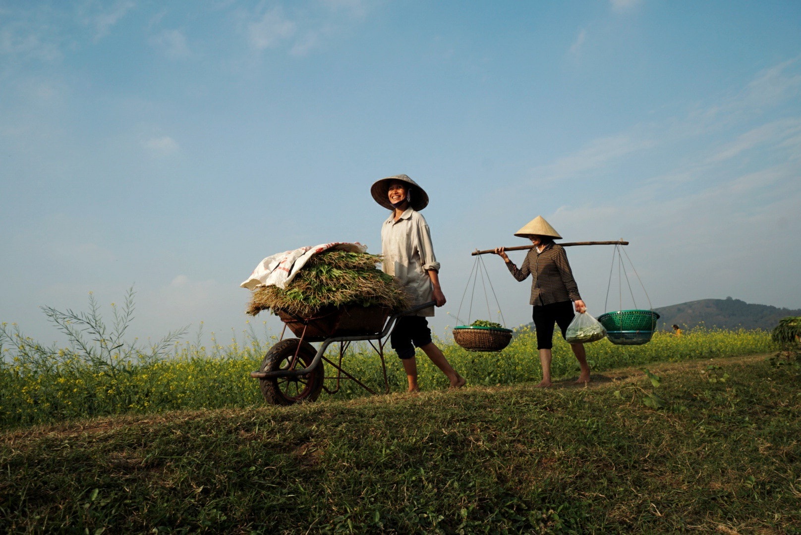 aNh: Lê Thắng