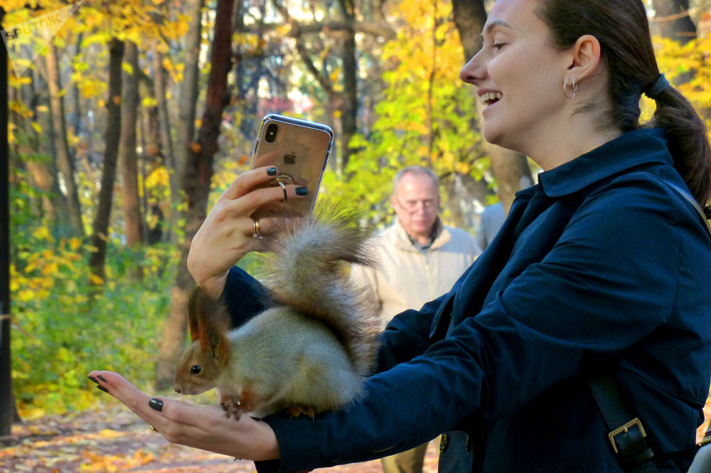 Người phụ nữ chụp ảnh với con sóc trong vườn Neskuchny.