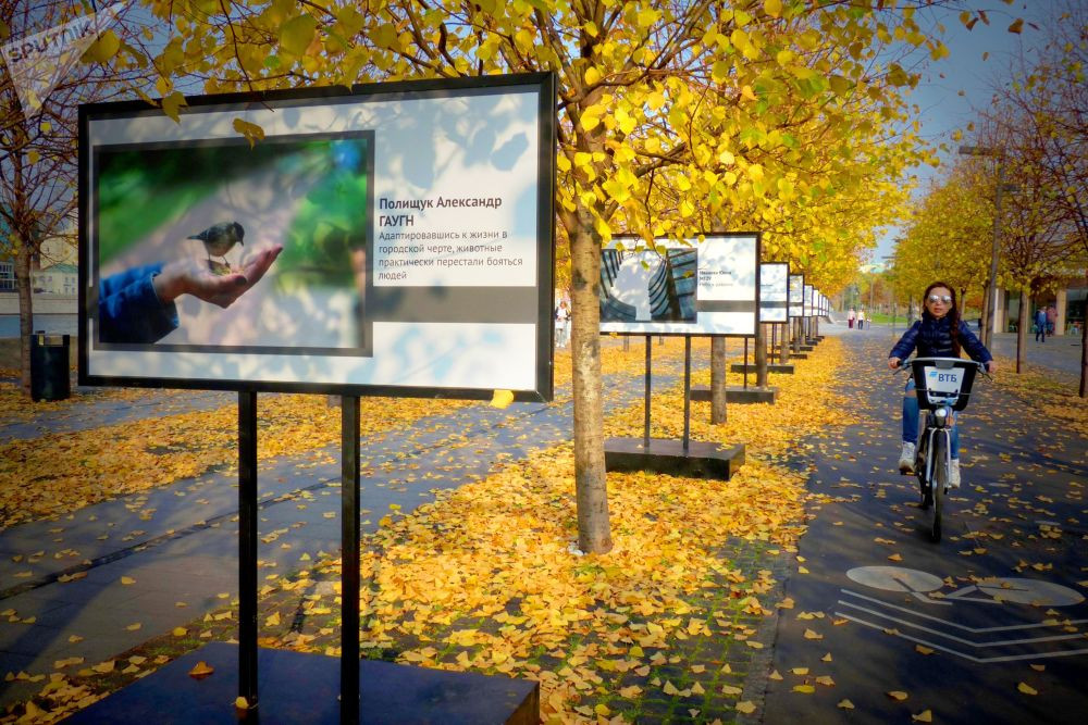 Công viên nghệ thuật Museon ở Moskva cũng được tô điểm bởi màu vàng.