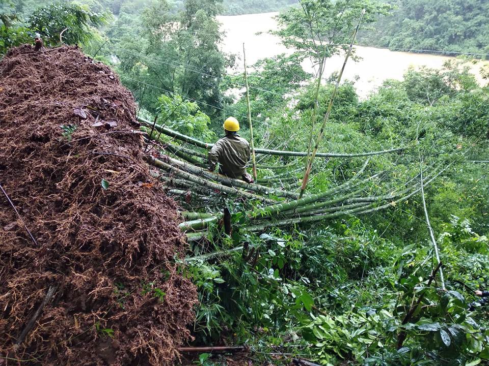 Công nhân điện lực liều mình sửa chữa đường dây điện bị cây cối đè lên trong đợt mưa lũ. 