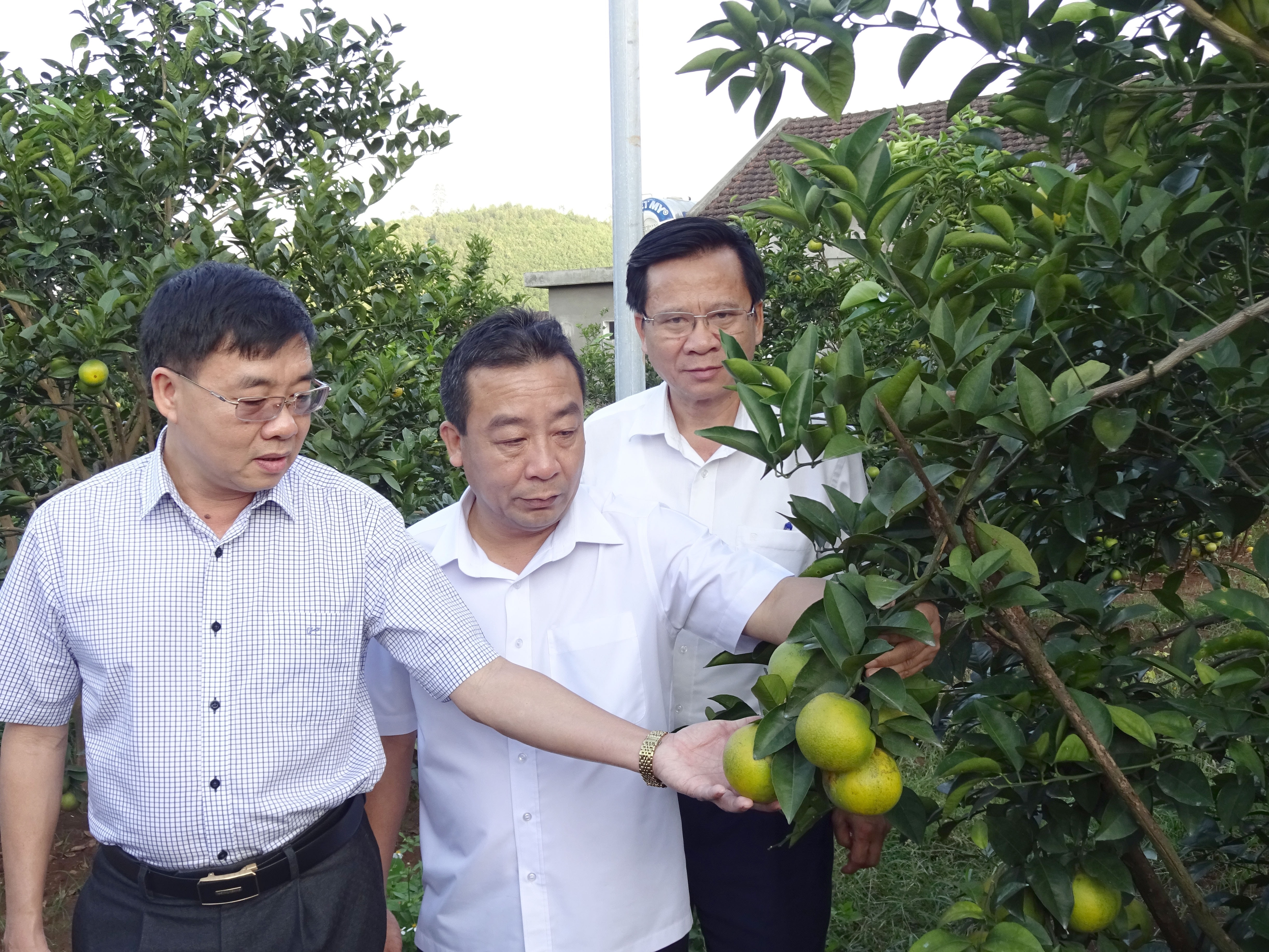 Đồng chí Nguyễn Văn Thông thăm .JPG