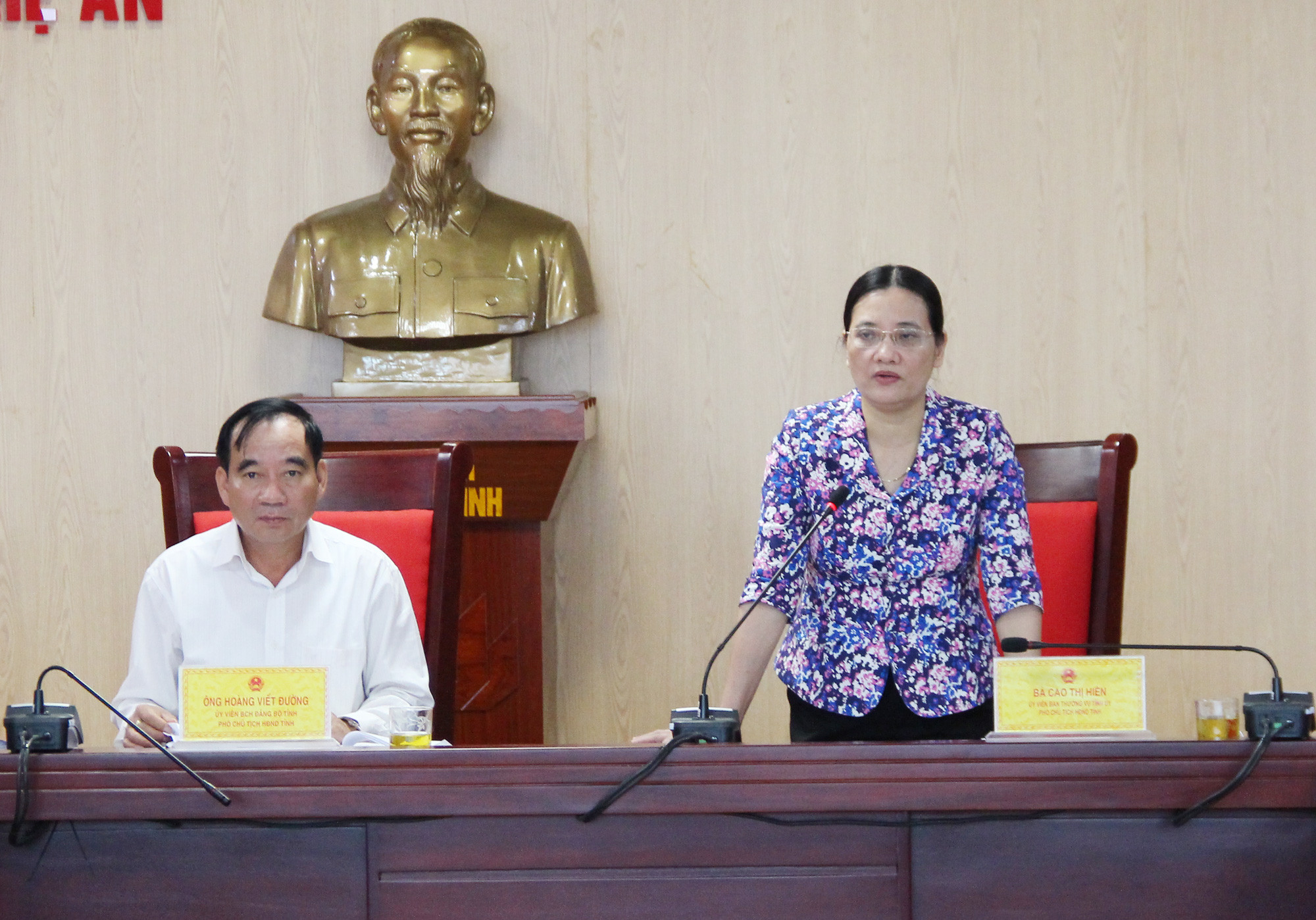 Phó Chủ tịch HĐND tỉnh Cao Thị Hiền kết luận tại cuộc họp. Ảnh: Minh Chi