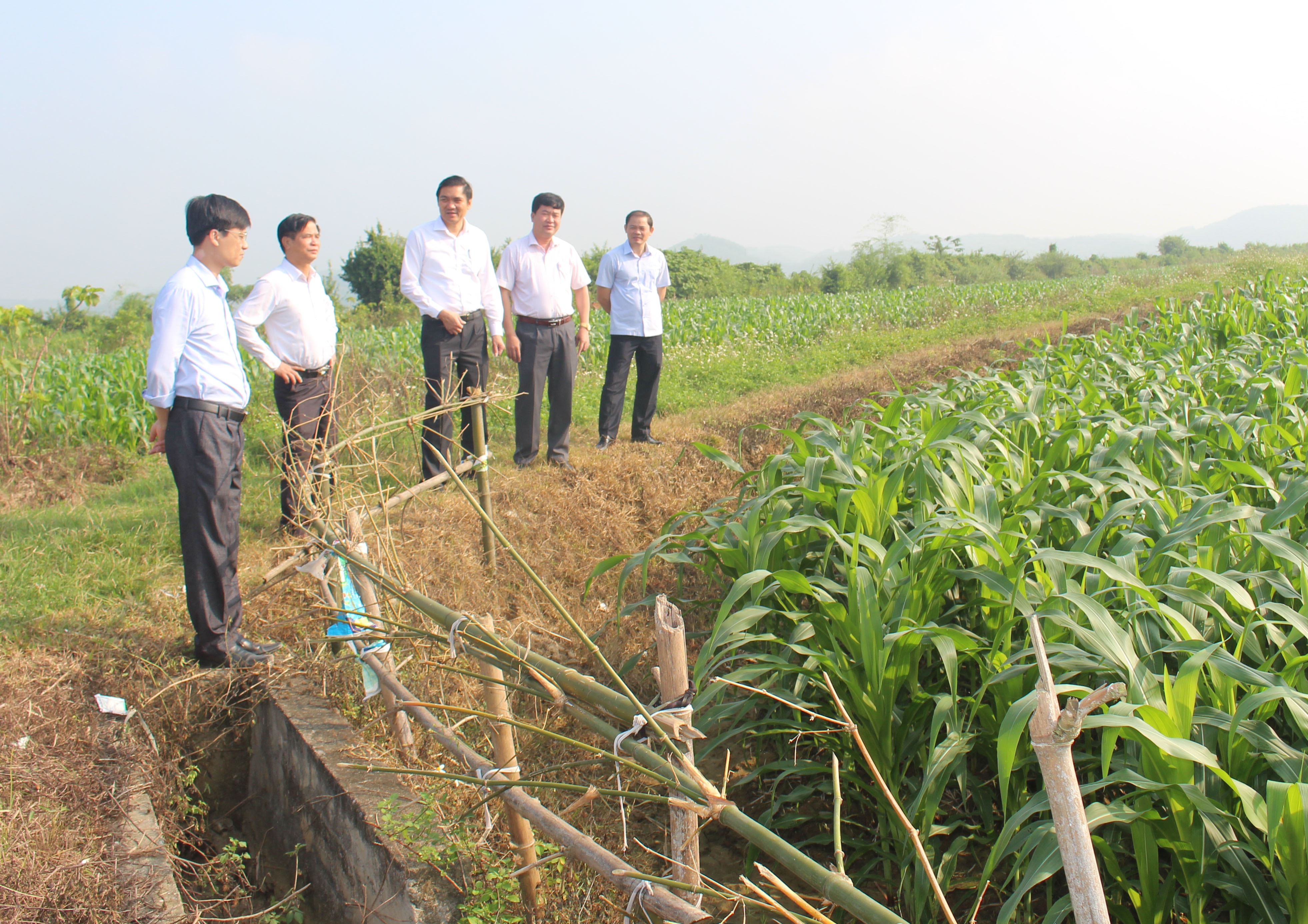 Đoàn thẩm định của tỉnh đã đi khảo sát thực tế các công trình thiết chế văn hóa, trường học, thăm diện tích trồng ngô trên đất hai lúa tại xã Tường Sơn