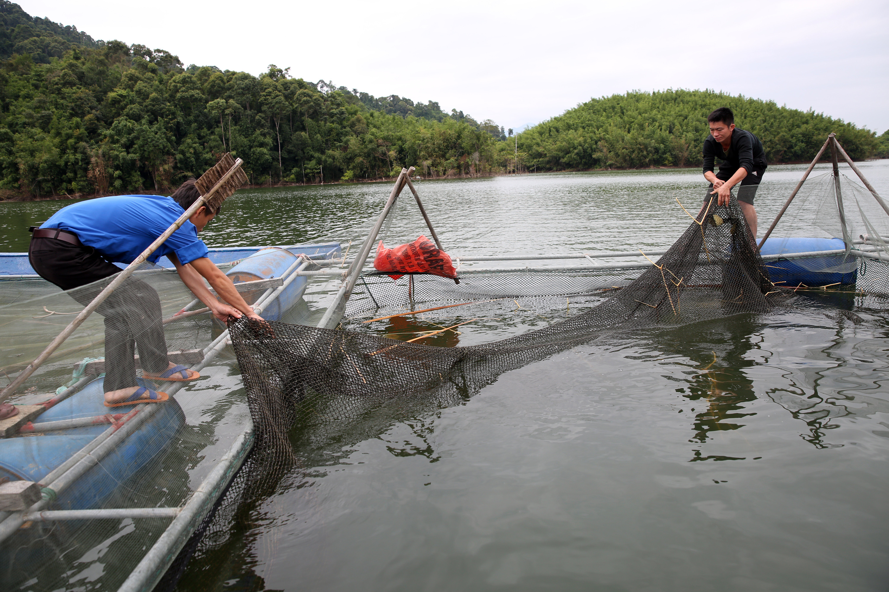 Đánh cá và đốn nứa lùng là nghề mưu sinh của Lang Văn Mão và những người sống trên những hòn đảo giữa hồ Ảnh : Hồ Phương