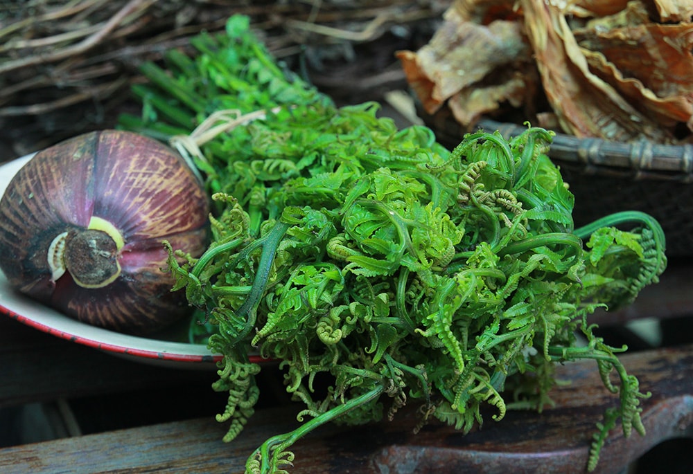 Chợ Phiên Ảnh: Chu Thanh