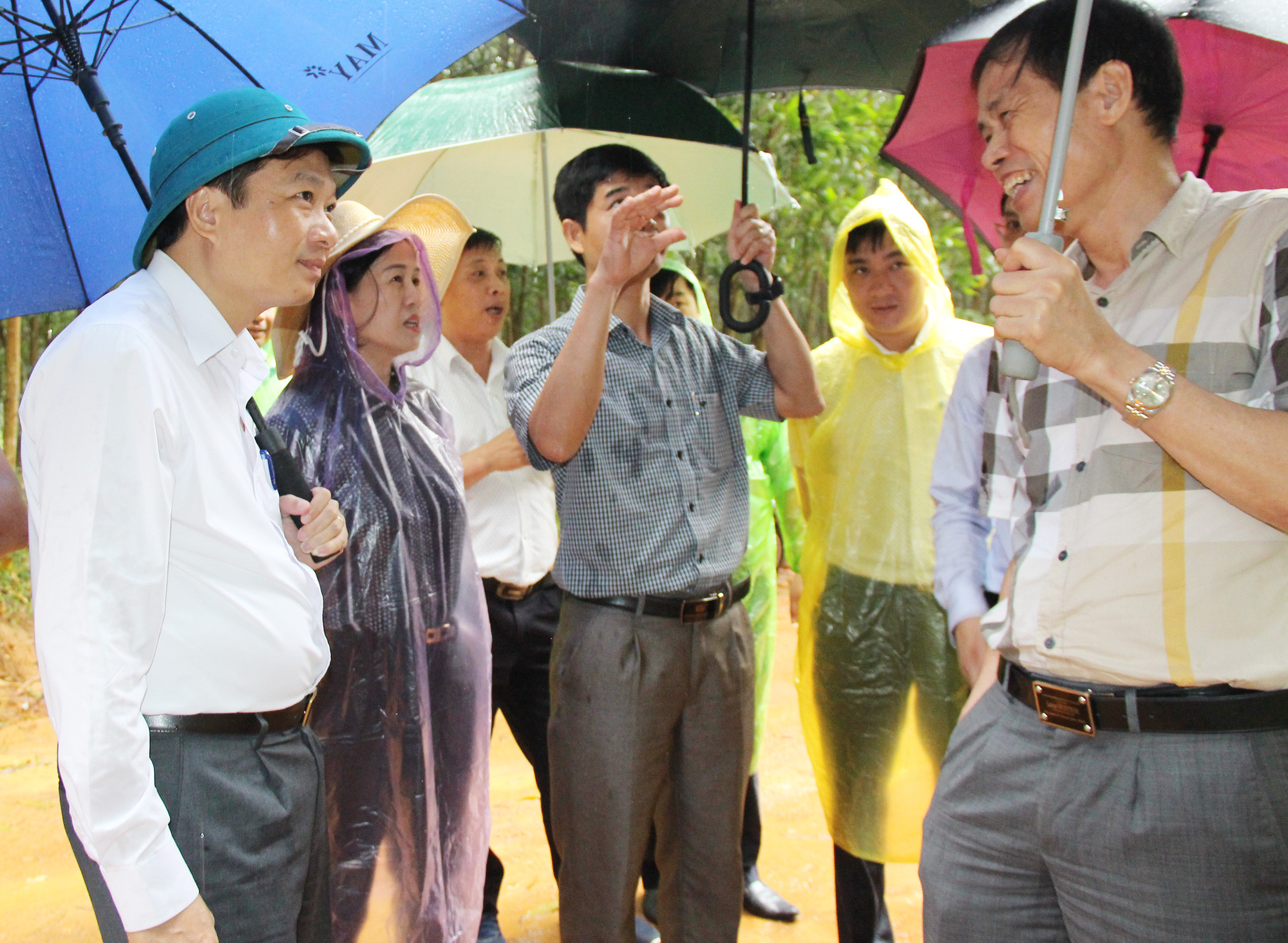 Đoàn công tác của HĐND tỉnh khảo sát thực tế tại khu rừng phòng hộ xã Xuân Thành. Ảnh: Mai Hoa