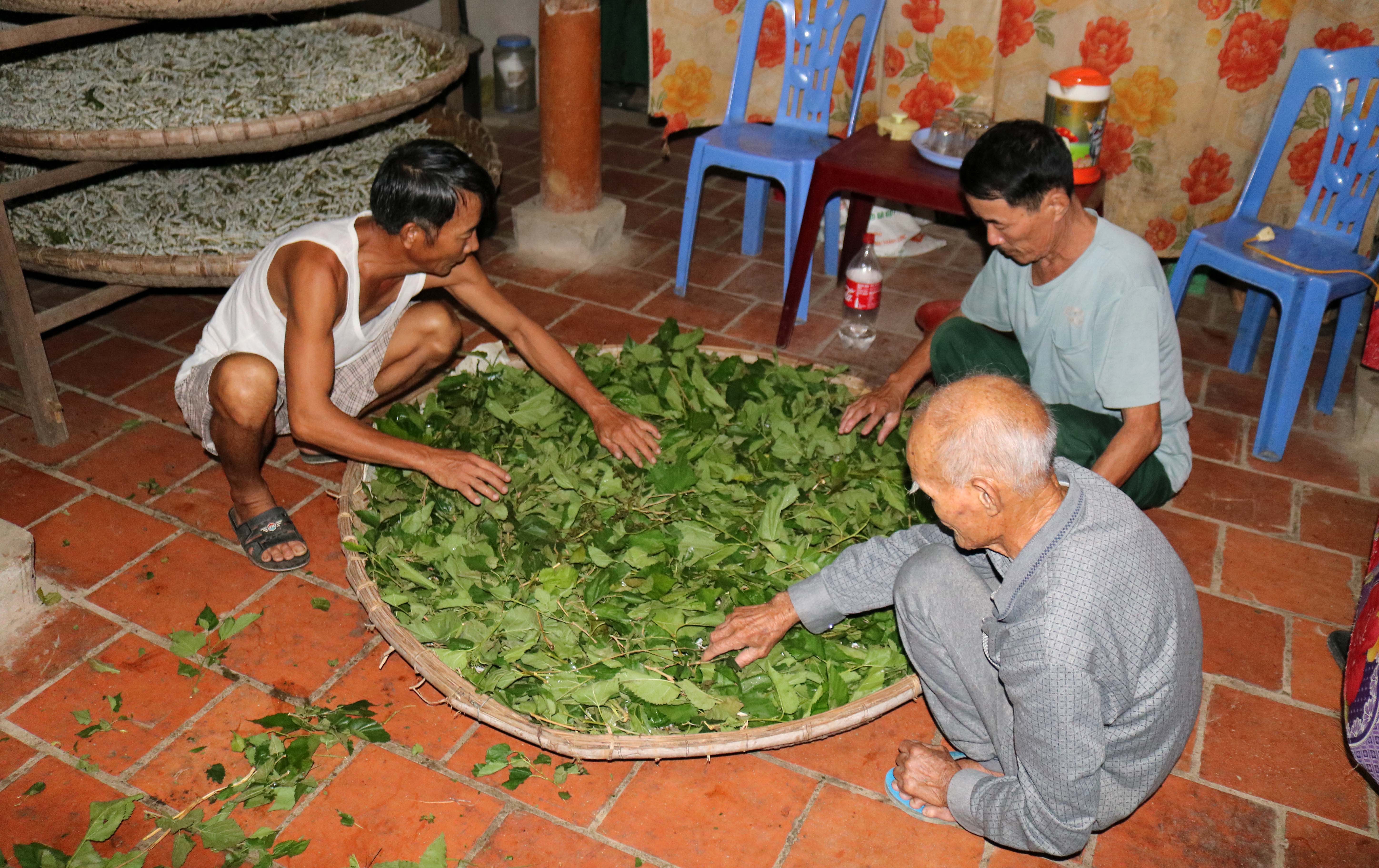 3 năm trở lại nay, người dân Khánh Sơn chuyển sang nuôi tằm thực phẩm. Ảnh: Huy Thư