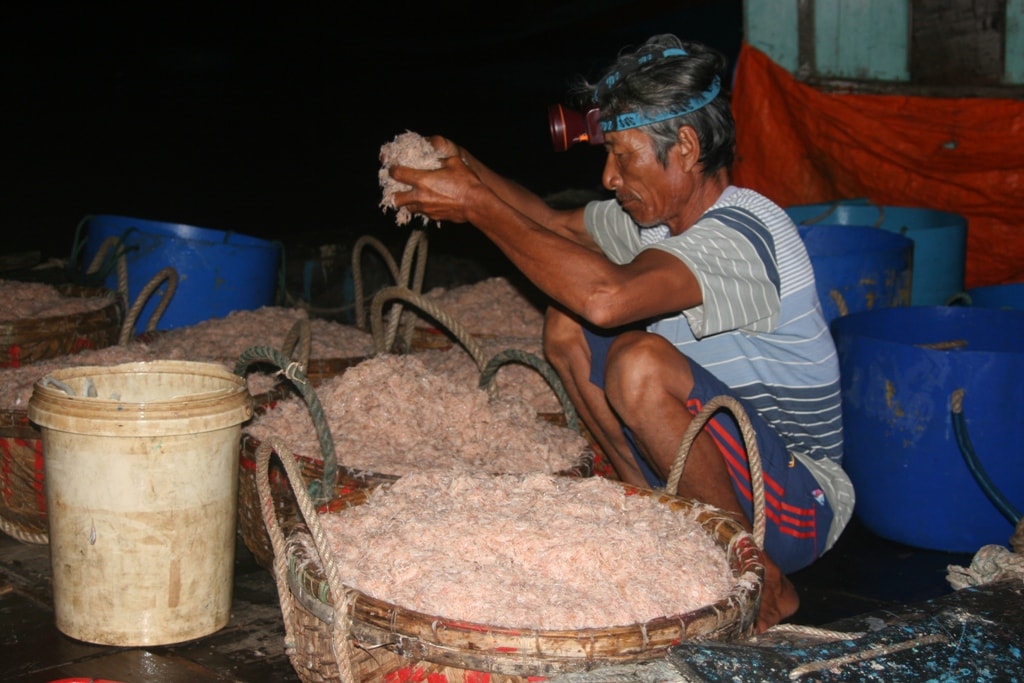 Chuyến về bờ sáng sớm nay, ngư dân Trần Đình Quỳnh phấn khởi vì thuyền của anh xúc được 7 tạ ruốc biển, trừ chi phí thu lãi hơn 6 triệu đồng. 