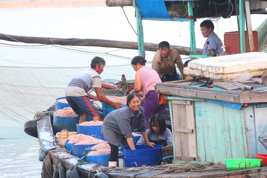 Trời dần sáng, nhiều thuyền đánh ruốc về bờ càng đông hơn và nhộn nhịp hẳn. Mặc dù vất vả với nghề biển nhưng với những khay ruốc đầy ắp đã mang đến niềm phấn khởi cho các ngư dân. Ảnh: Việt Hùng