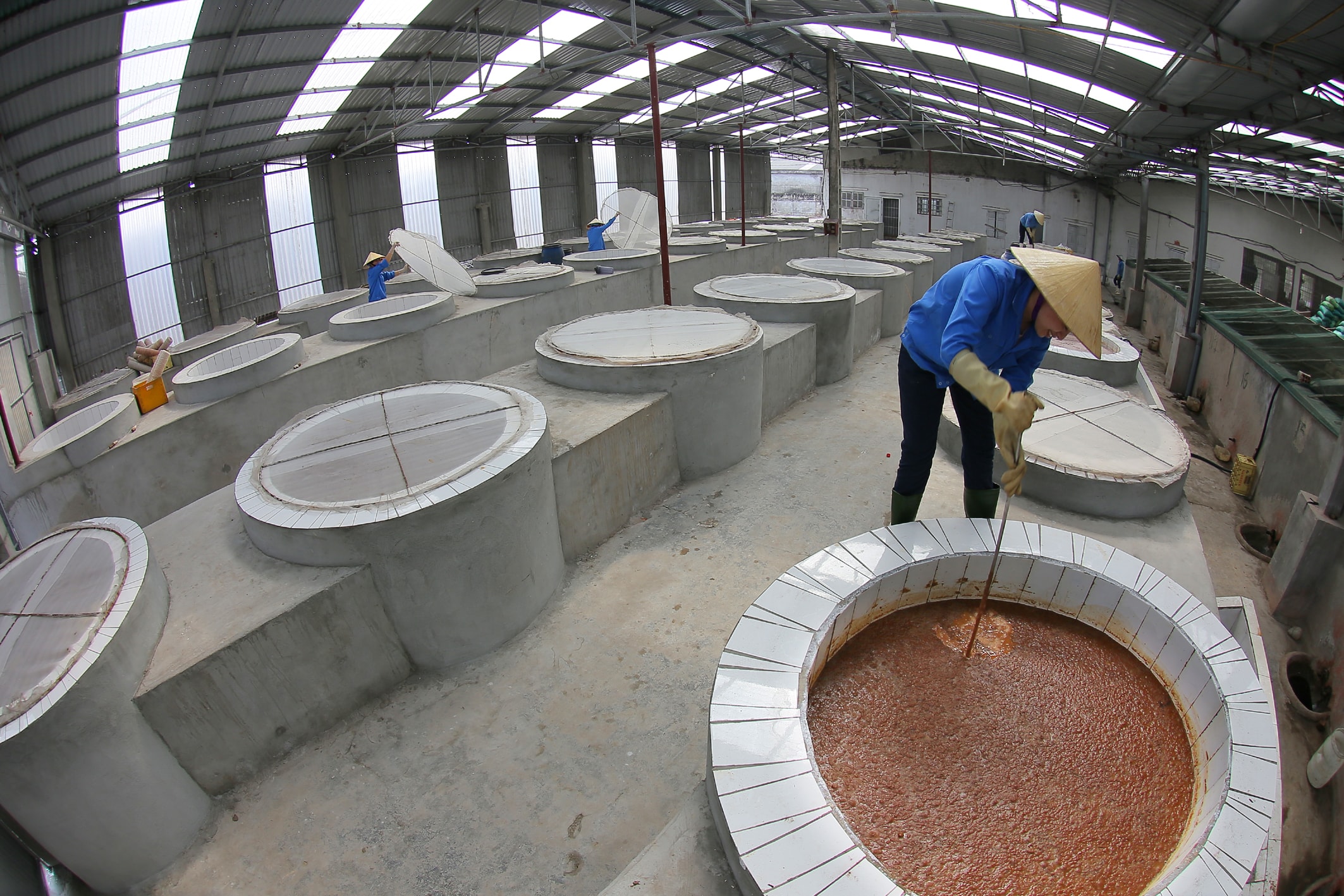 Con ruốc là nguồn nguyên liệu đồi dào ở vùng biển Diễn Châu để làm ra sản phẩm đặc sản “ruốc hôi” (mắm tôm). 