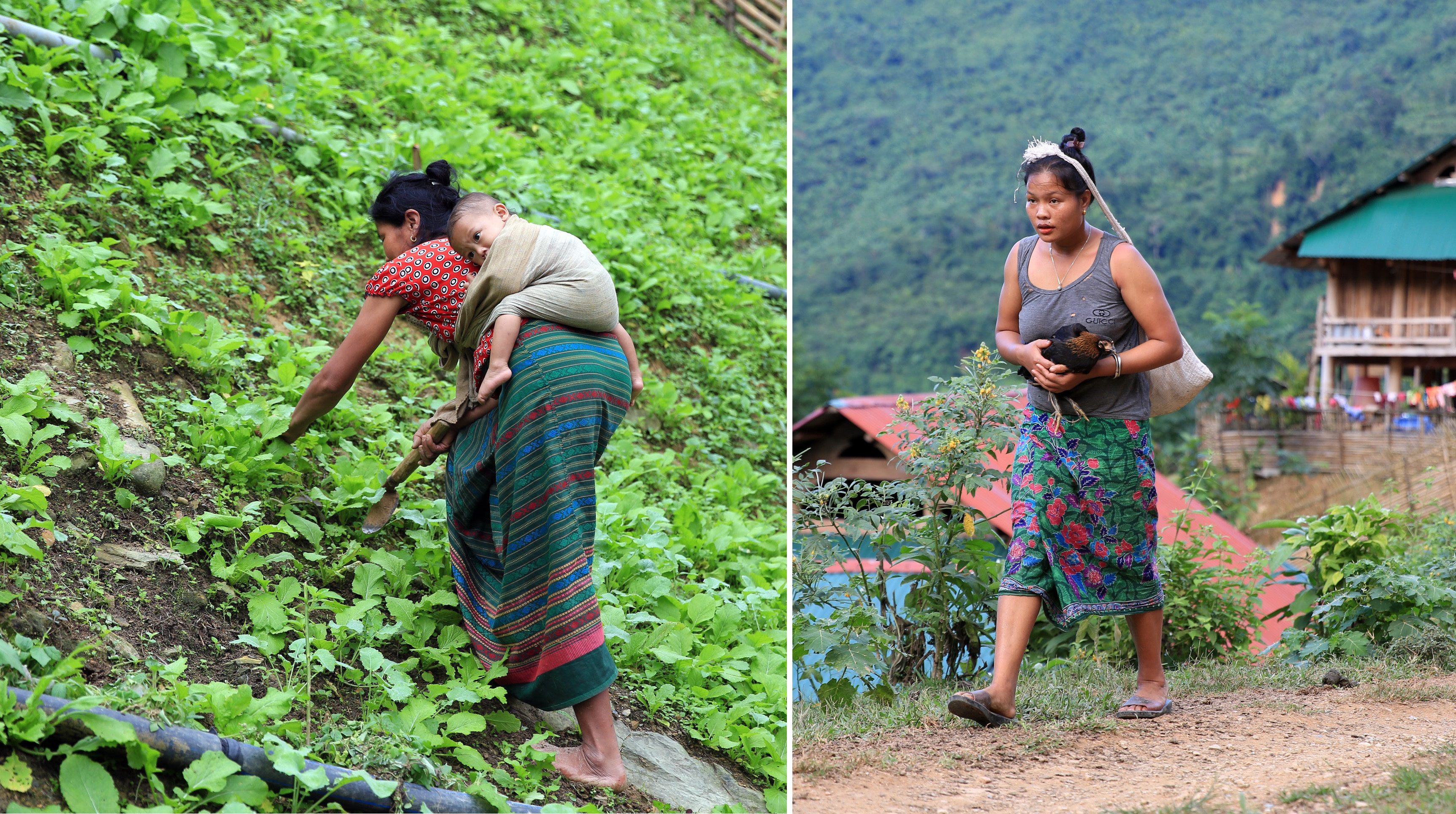Phụ nữ bản Cà Moong rất siêng năng. Ở bản, rau cải ngồng được gieo dọc sườn núi, là thức ăn chủ yếu của dân bản. Ảnh: Phương Thọ