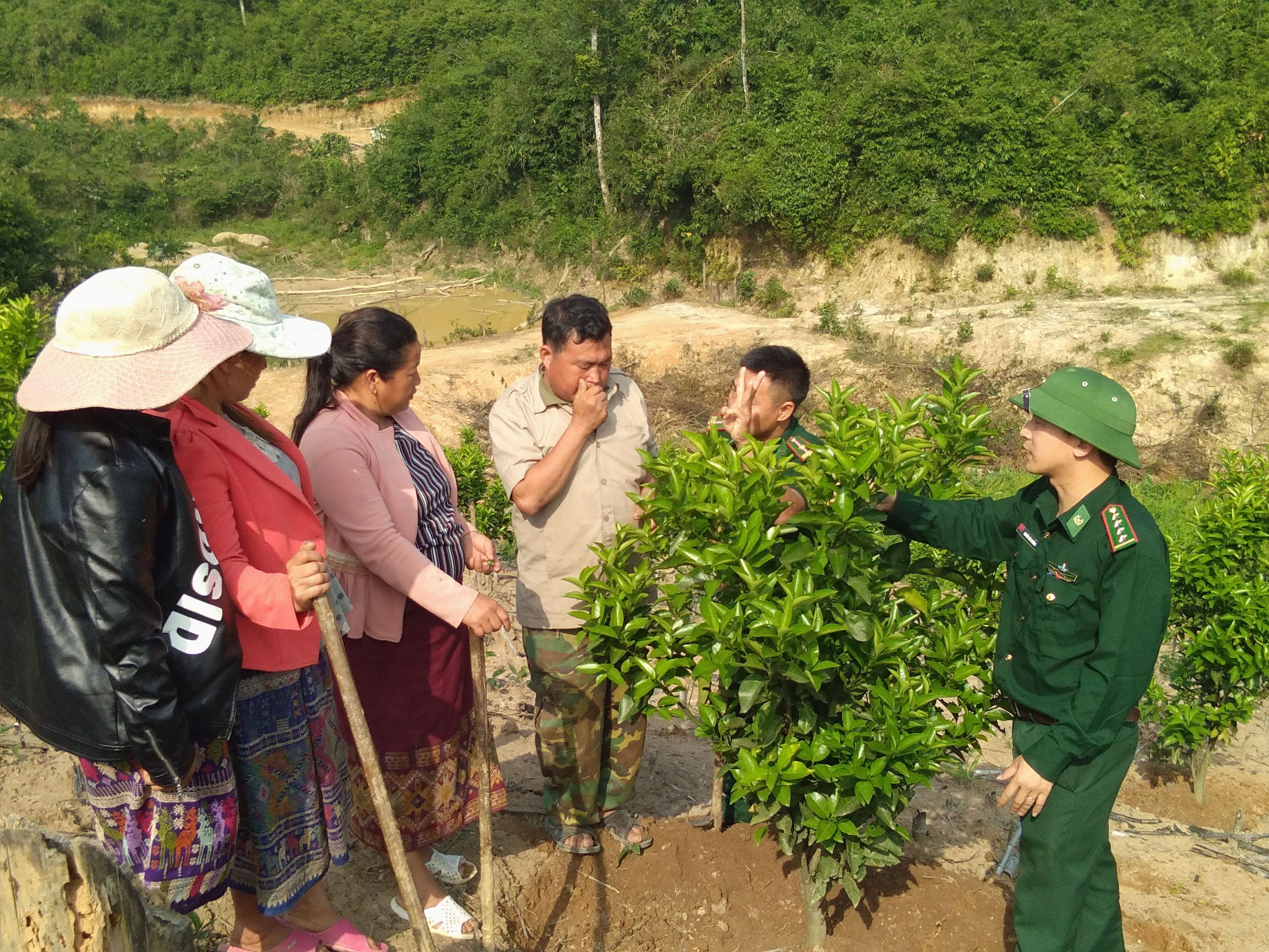 Đồn biên phòng Thông Thụ hướng dẫn người dân bản Nậm Táy Lào trồng cam. Ảnh tư liệu