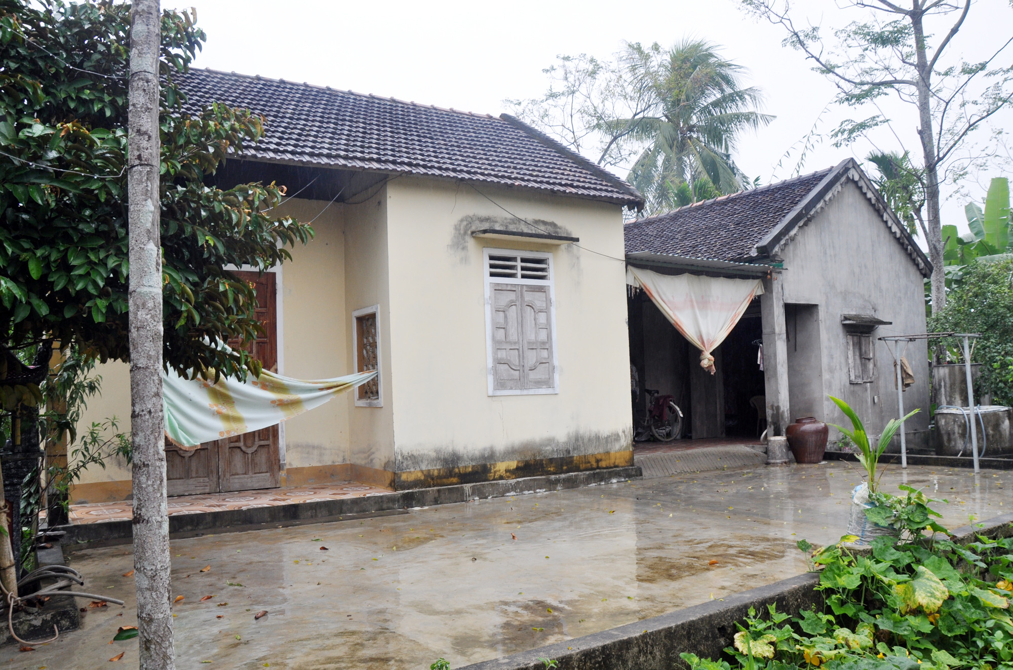 Nhà của gia đình ông Nguyễn Hải Yến (SN 1959) ở cuối làng Nhân Hậu, xã Nam Sơn (Đô Lương - Nghệ An). 