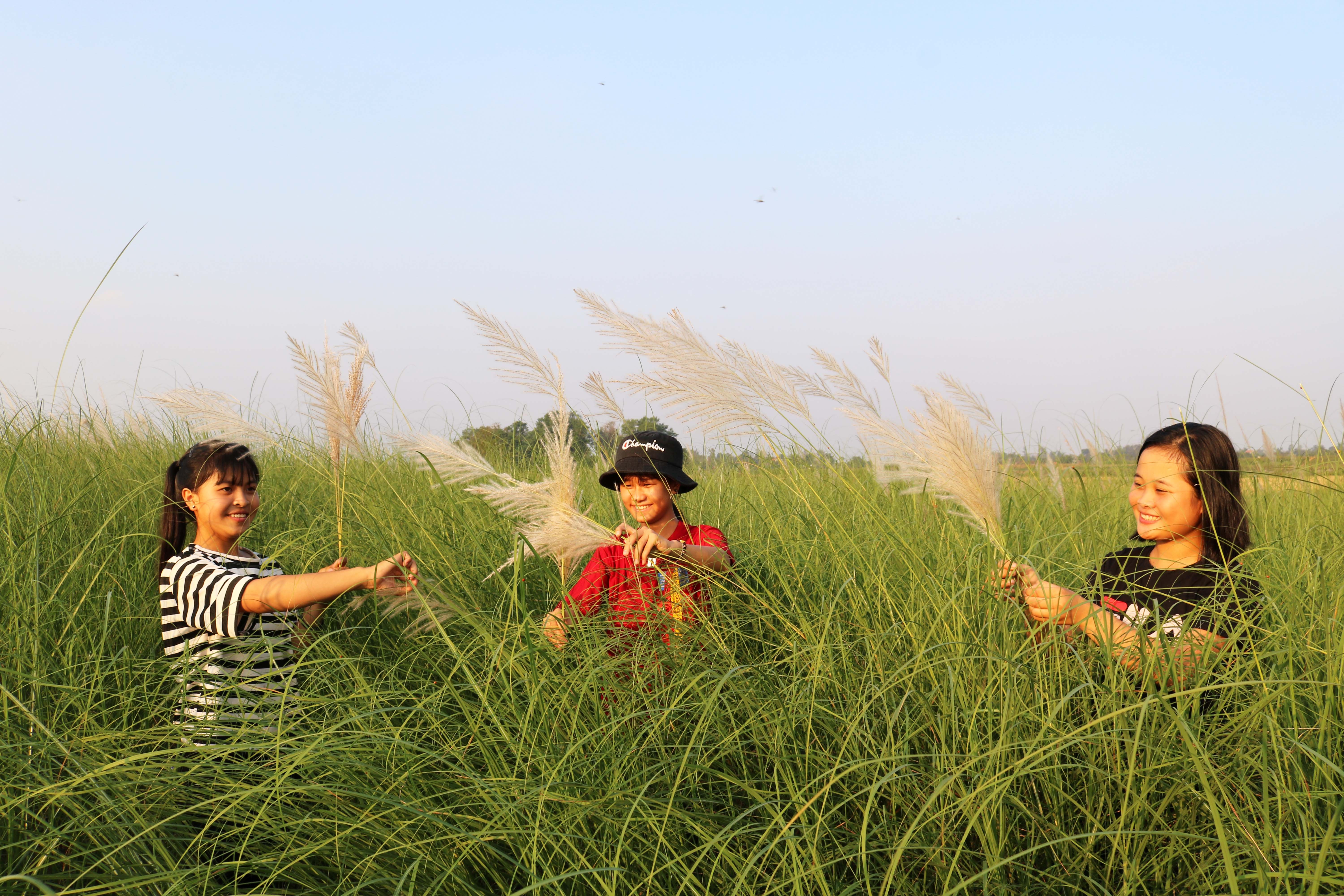 Bãi lau giữa sông Lam thu hút đông giới trẻ. Ảnh: Huy Thư