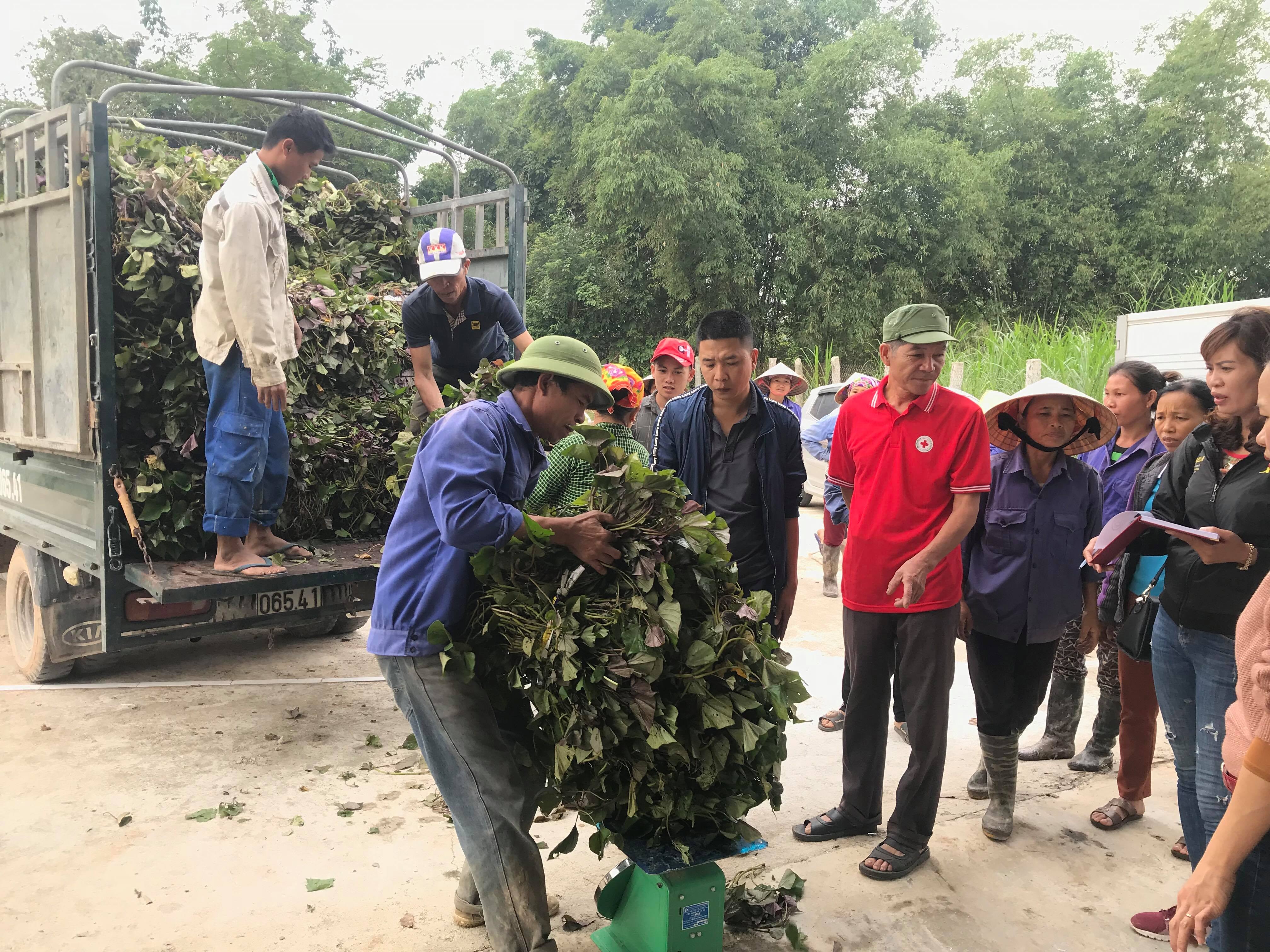 Các hộ dân xóm Lập Xuân, 1 xã Nghĩa Liên (Nghĩa Đàn) nhận giống khoai lang thương phẩm. Ảnh: Minh Thái