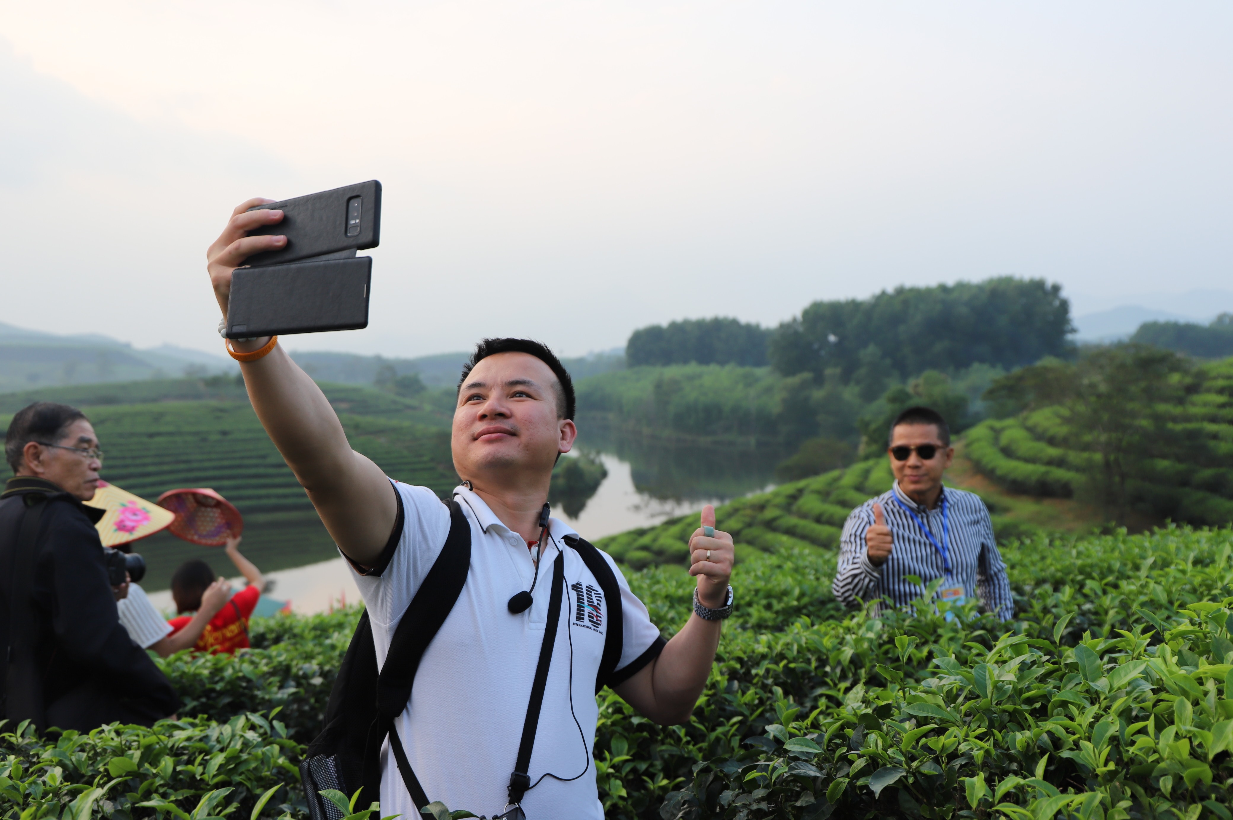 Đảo chè Thanh Chương là địa điểm check-in, chụp hình lưu niệm lý tưởng với du khách. Ảnh: Phước Anh