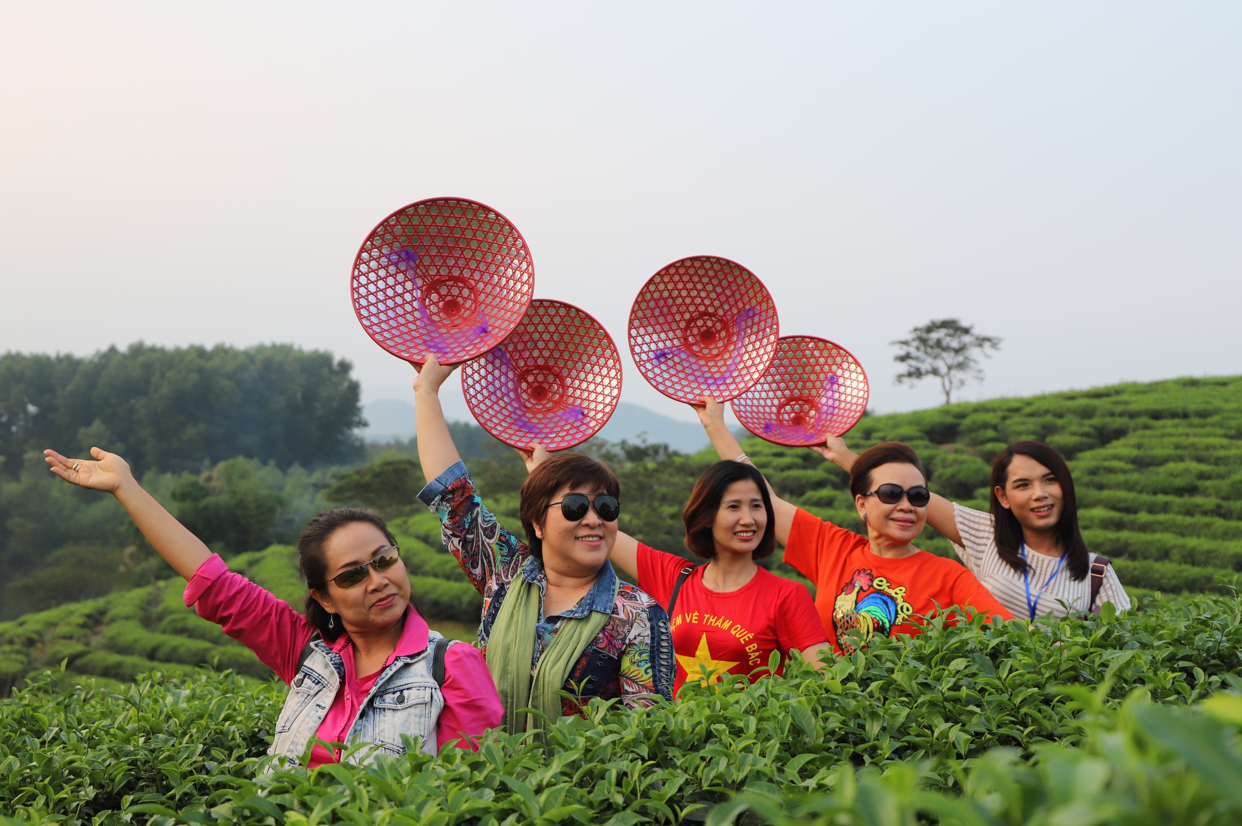 Nhiều du khách nhận xét, đảo chè Thanh Chương tương tự như các đồi chè ở Mộc Châu, nhưng có nét đặc sắc hơn bởi đảo chè uốn quanh hồ nước trong xanh, 