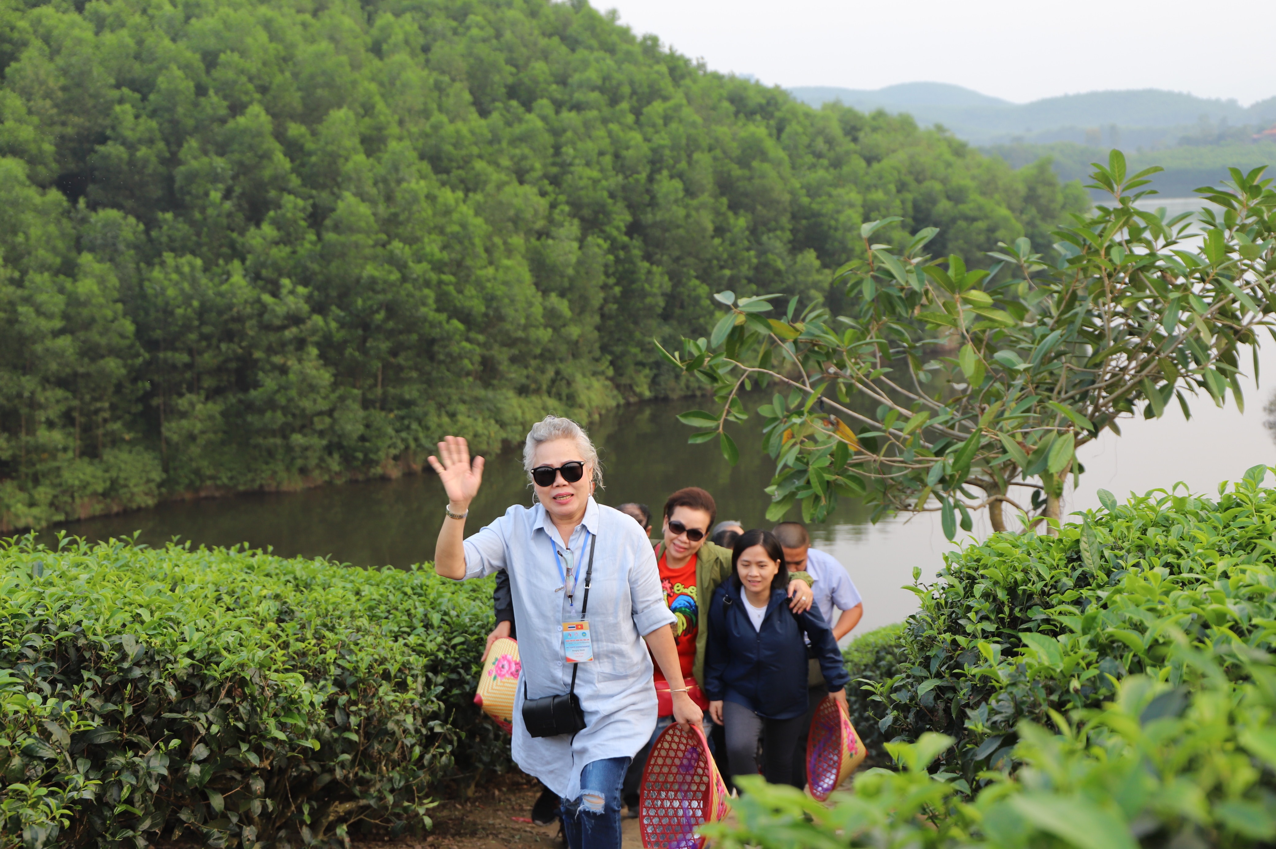 Từ ngày 26-28/11, đoàn famtrip Đông Bắc Thái Lan sang Nghệ An khảo sát một số tuyến, điểm du lịch. Đến với đảo chè Thanh Chương, các thành viên trong đoàn tỏ ra rất thích thú với cảnh sắc nơi đây. Ảnh: Phước Anh
