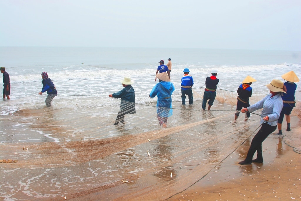 Sáng 28/11, dọc bãi biển phường Quỳnh Phương, liên tiếp những mẻ lưới rùng được ngư dân kéo lên bờ mắc đầy cá. Chuyến thả lưới này, ngư dân bội thu cá ngảng. Ảnh: Việt Hùng