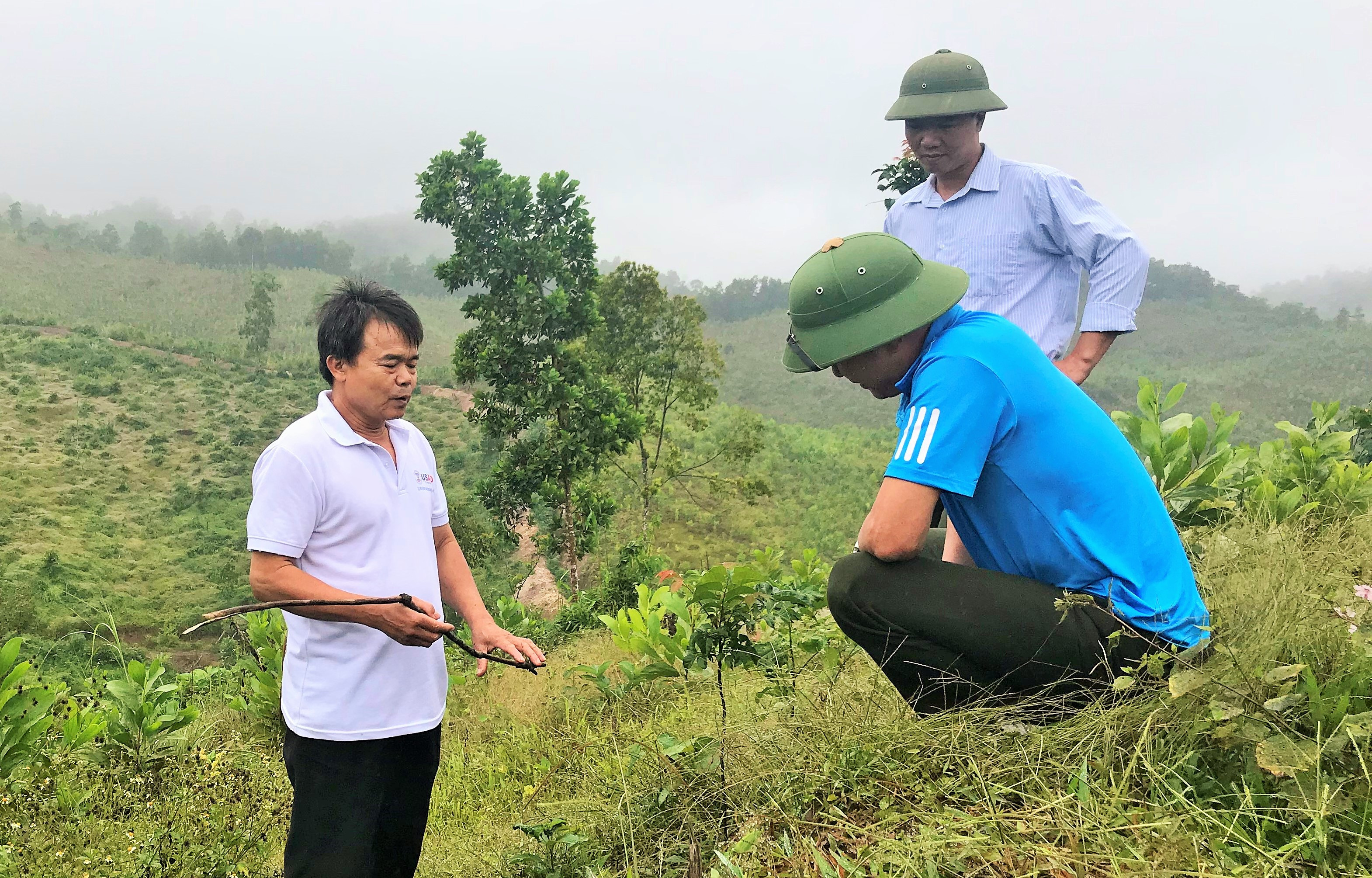 Hướng dẫn kỹ thuật chăm sóc cây trồng tại Quỳnh Lưu. Ảnh: PV.