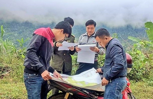 Kiểm tra công tác trồng rừng ở Quế Phong. Ảnh: PV.