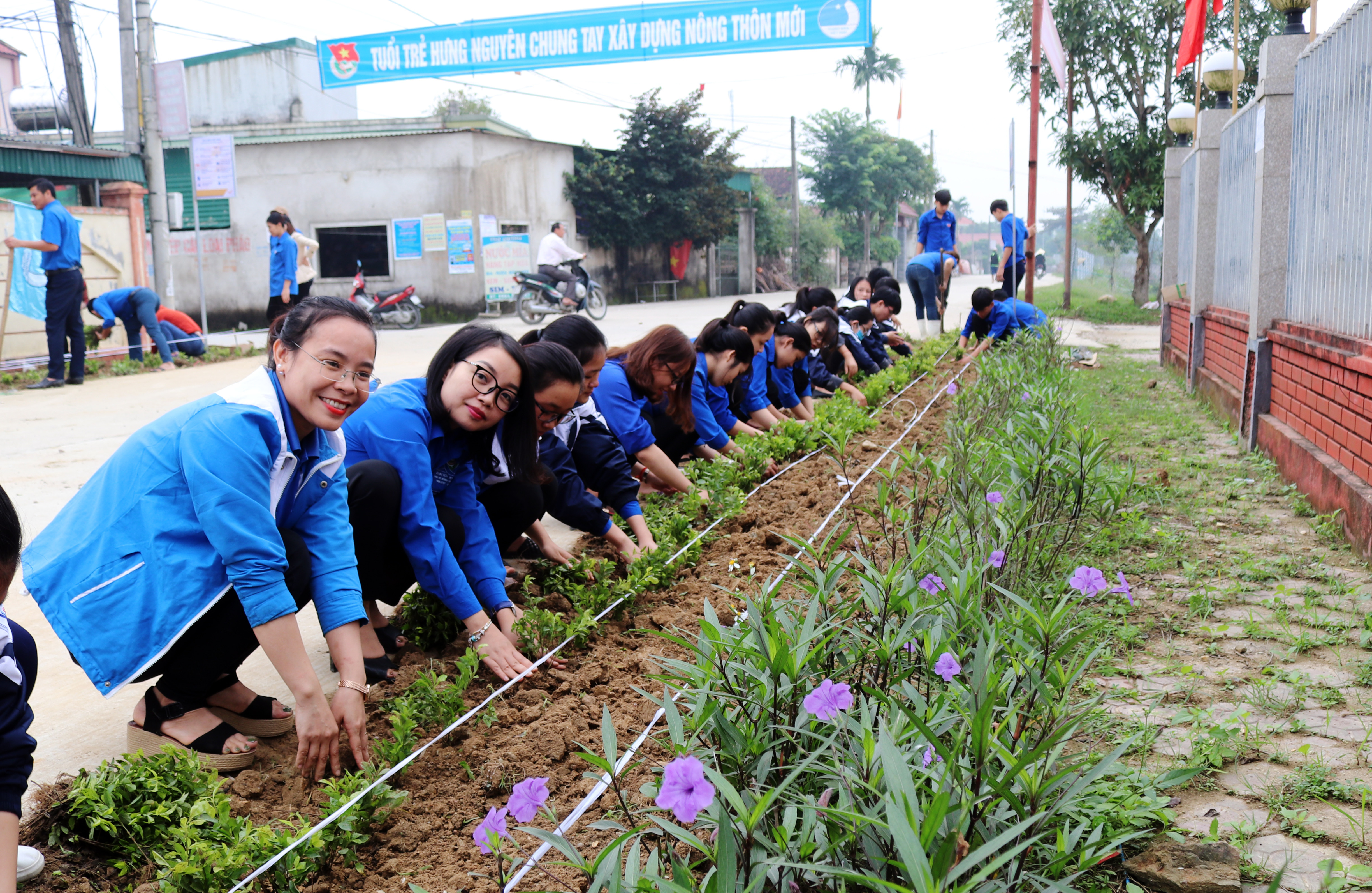 Đoàn viên, thanh niên huyện Hưng Nguyên ra quân trồng cây tại tuyến đường thanh niên xanh, sạch, đẹp với tổng chiều dài hơn 400m. Ảnh: Phương Thúy