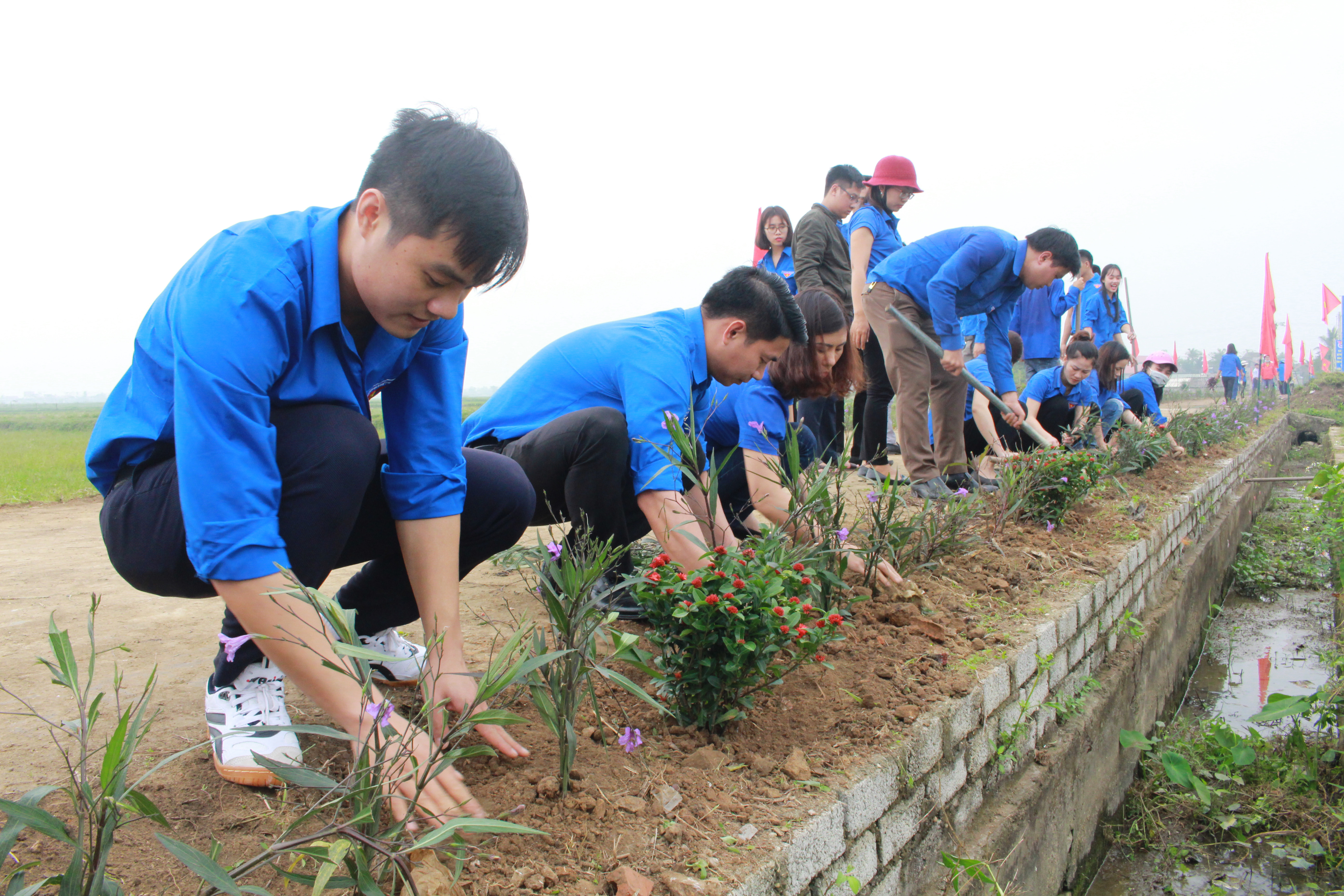 Các đoàn viên, thanh niên huyện Quỳnh Lưu ra quân xây dựng tuyến đường thanh niên xanh, sạch, đẹp với chiều dài 500m. Ảnh: Phương Thúy