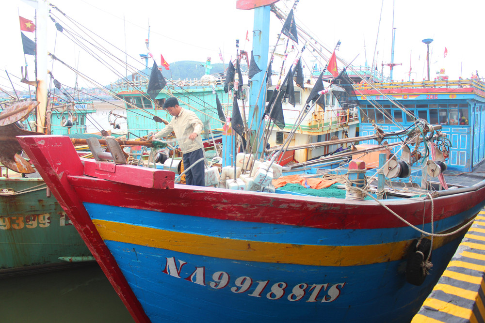 Sau khi có nhiều giải pháp từ cơ quan chức năng, nhiều tàu cá 67 ở thị xã Hoàng Mai đã vươn khơi trở lại.  Ảnh: Việt Hùng