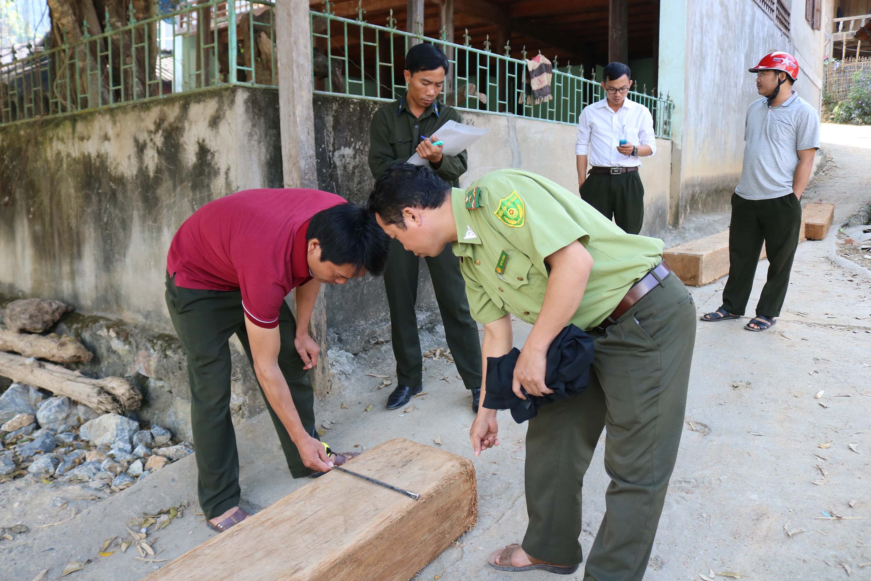 Số gỗ vô chủ lực lượng chức năng thu giữ. Ảnh: Lữ Phú