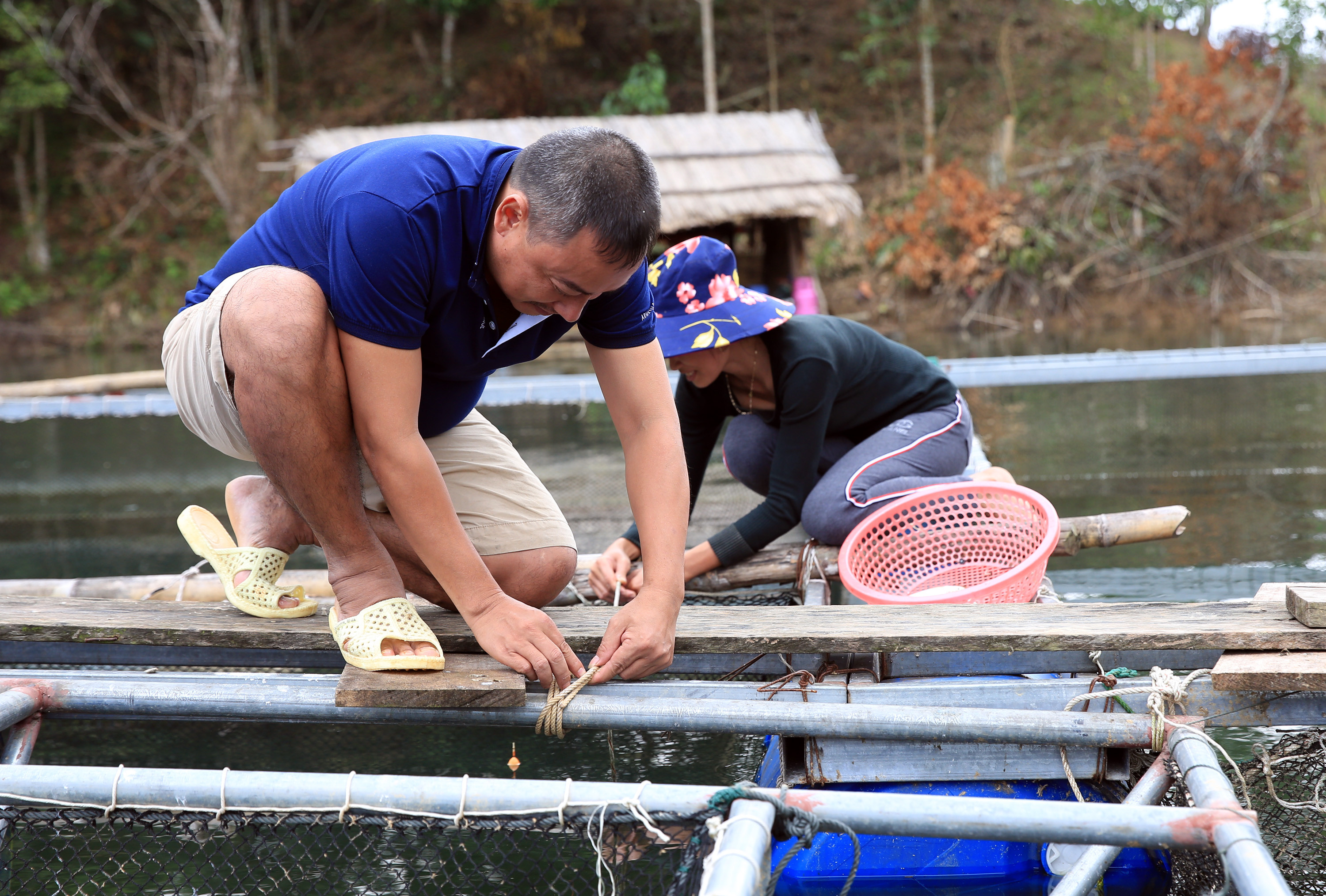 Nhiều chính sách đầu tư và việc thay thế lồng nuôi cá đã và đang mang lại hiệu quả lớn cho người dân xã Đồng Văn và Thông Thụ huyện Quế Phong. Ảnh: Hồ Phương