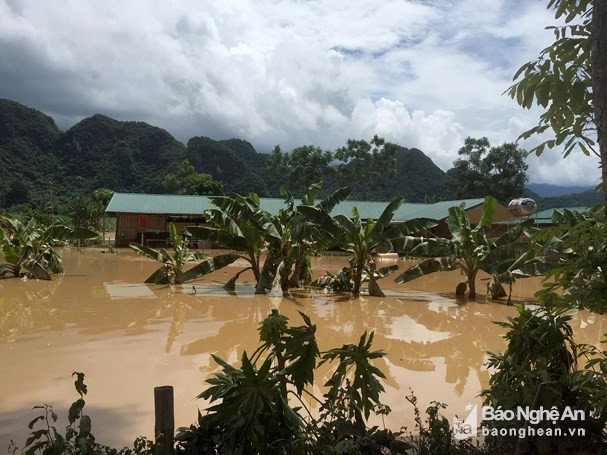 Điểm Trường DTNT-THCS đang ngập lụt tại huyện Con Cuông. Ảnh tư liệu
