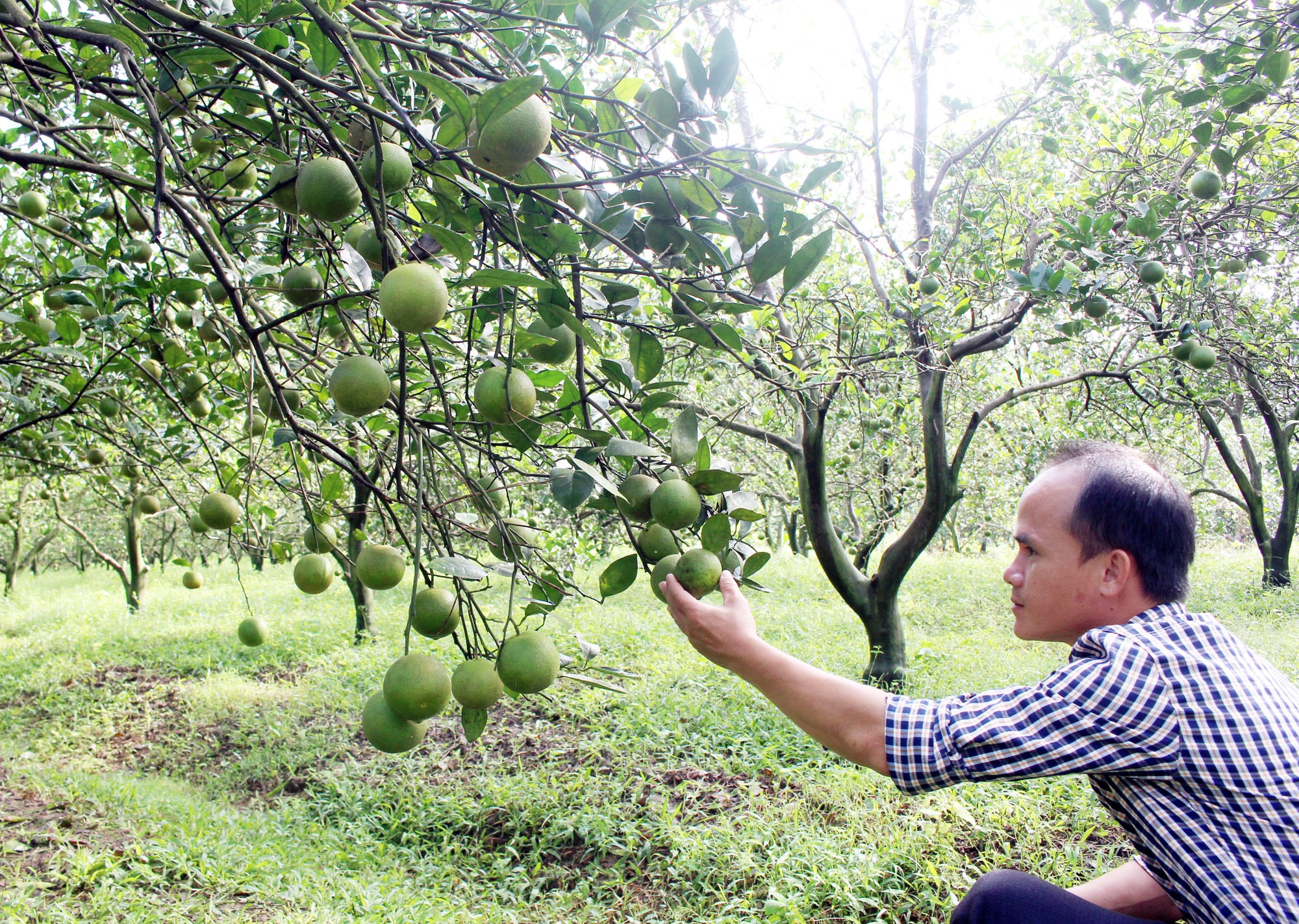 hiện tượng