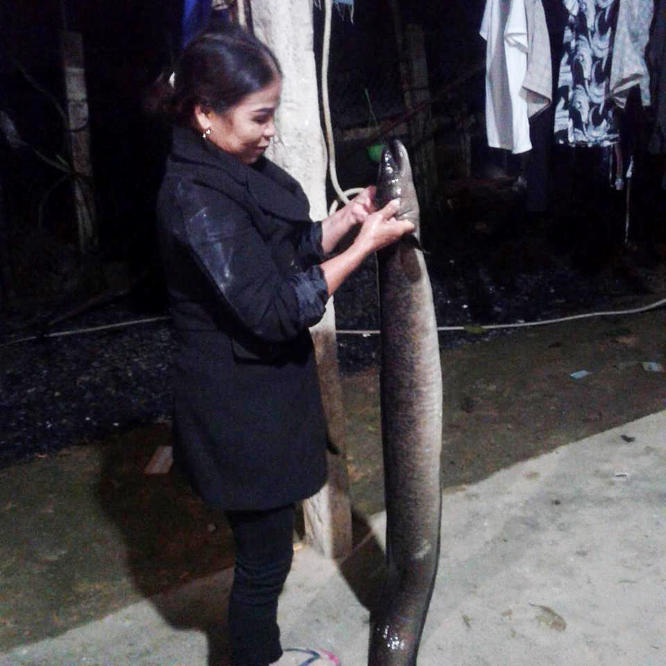 Cá dài 1,6 m, nặng gần 10kg. Một người phụ nữ xách cá lên thật khó khăn. Ảnh: Huy Thư