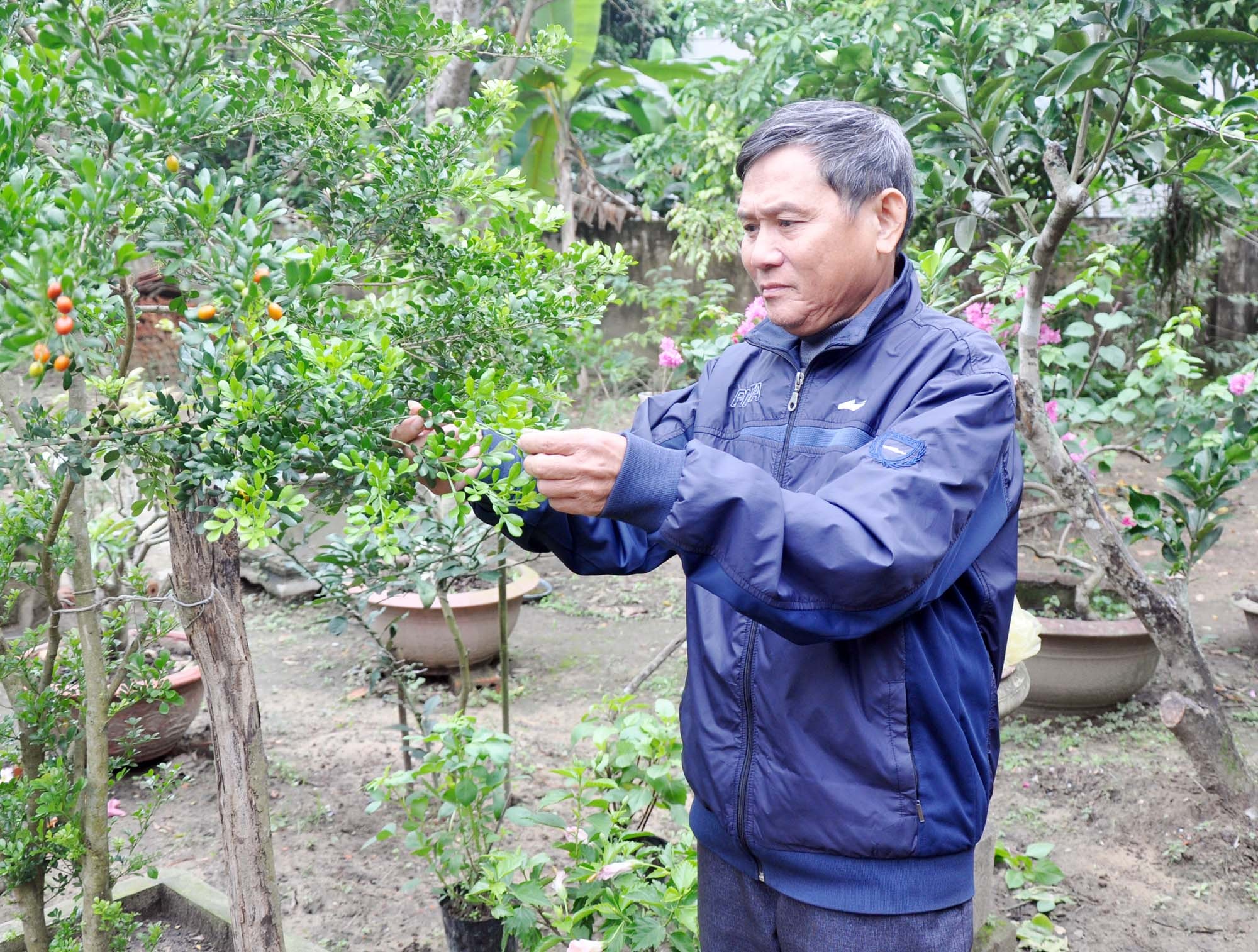 CCB Nguyễn Văn Ngội chăm sóc vườn cây. Ảnh: Công Kiên