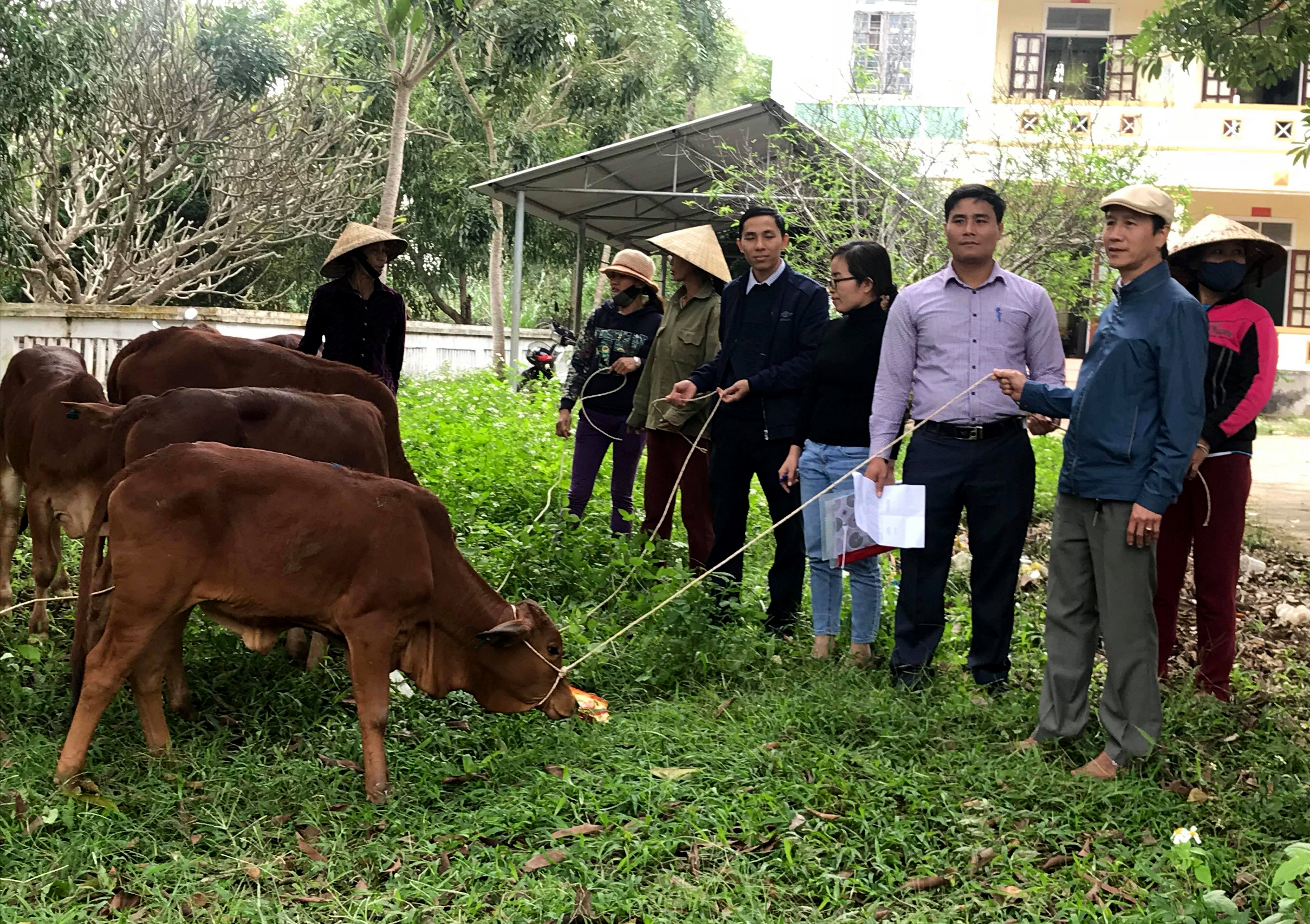 Trao bò cho các hộ nghèo tại xã Nghĩa An,anh