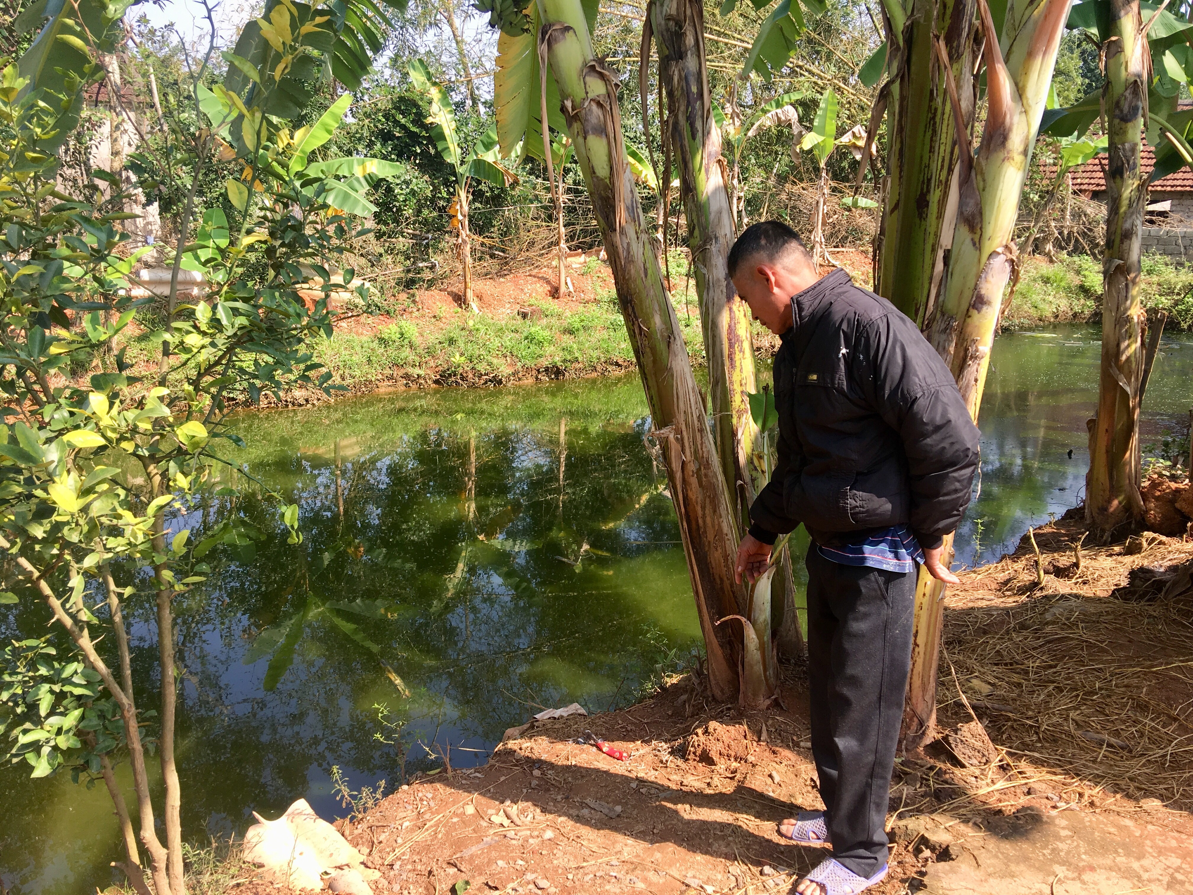 Khu vực ao nơi cháu Nhiên trượt chân ngã xuống đuối nước. Ảnh: Ngọc Phương