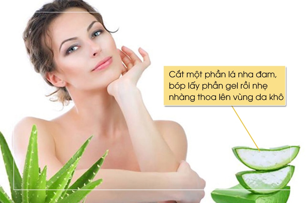 2. Mặt nạ nha đam: Mặt nạ từ nha đam là một trong những biện pháp khắc phục làn da khô “lâu đời” nhất. Cắt một phần lá nha đam, bóp lấy phần gel rồi nhẹ nhàng thoa lên vùng da khô trong khoảng 30 phút. 