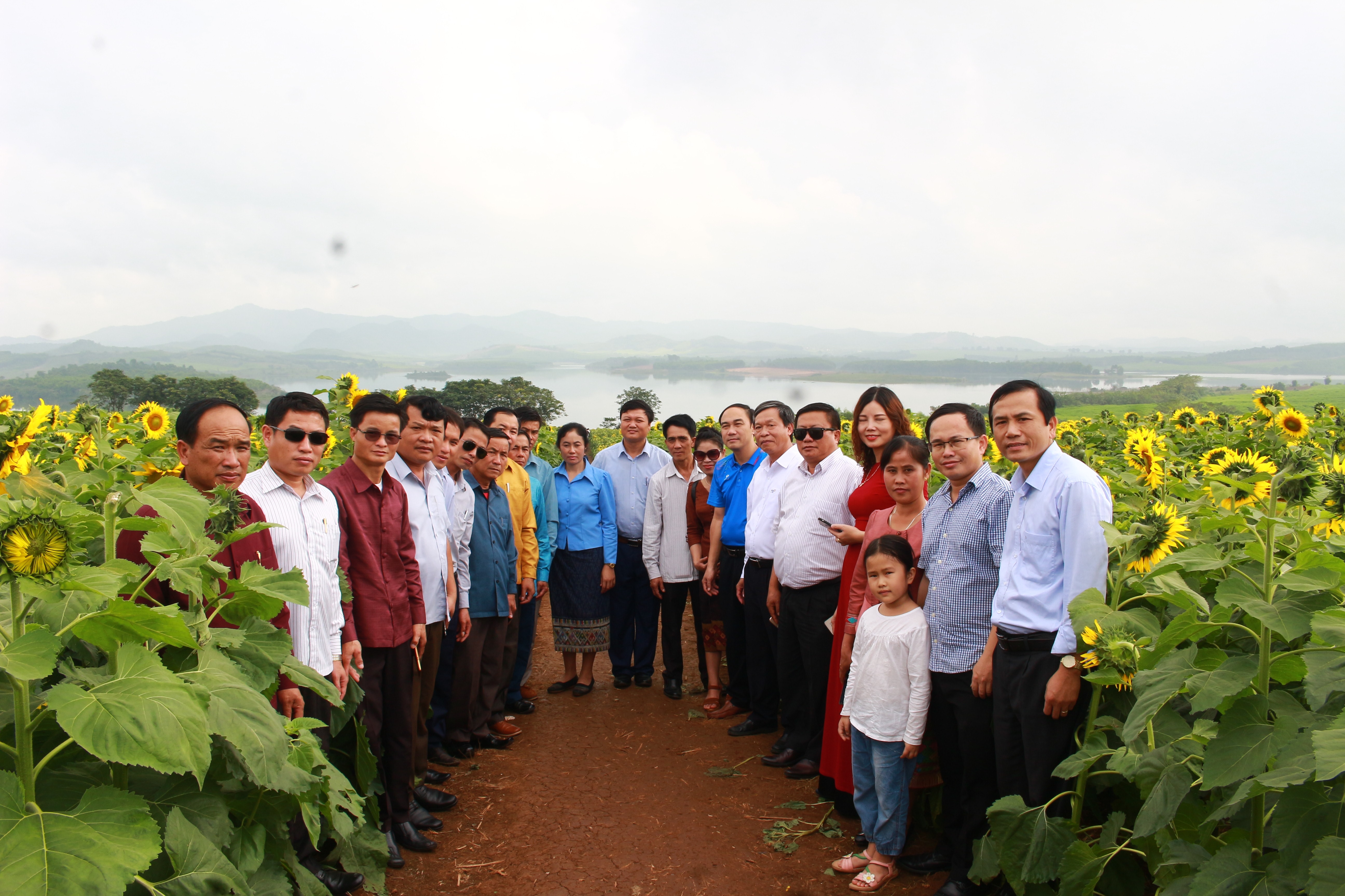 Đoàn công tác thăm cánh đồng hoa hướng dương, địa điểm du lịch lý tưởng của Nghĩa Đàn. Ảnh: Thái Trường 