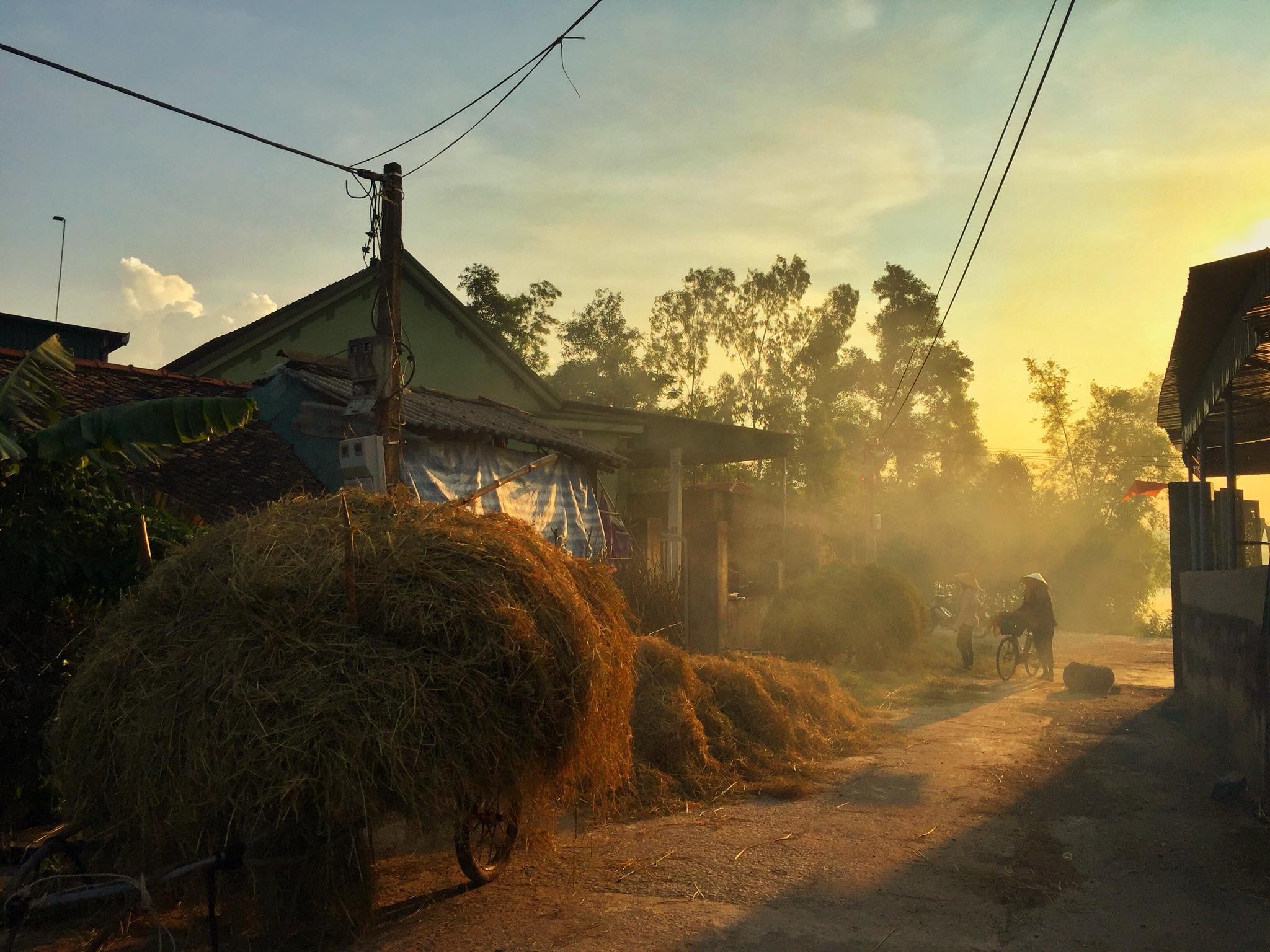 Ảnh: Nguyễn Đạo