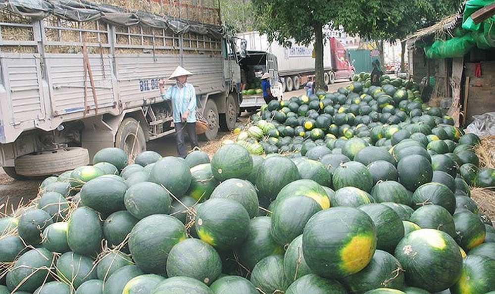 đang yêu cầu ngày càng yêu cầu cao về chất lượng sản phẩm, truy xuất nguồn gốc, bao bì nhãn mác rõ ràng và ưu tiên nhập khẩu qua đường chính ngạch.