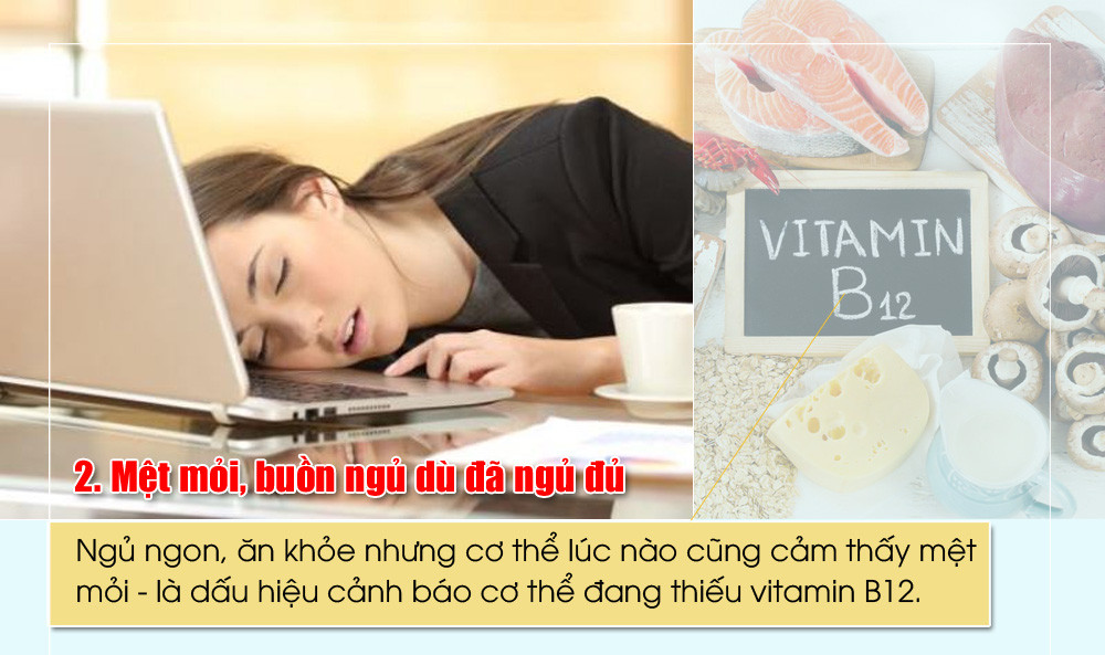 Ngủ ngon, ăn khỏe nhưng cơ thể lúc nào cũng cảm thấy mệt mỏi - là dấu hiệu cảnh báo cơ thể đang thiếu vitamin B12. Do quá trình vận chuyển oxy đến các cơ quan trong cơ thể bị cản trở, dẫn đến mệt mỏi, chóng mặt và buồn ngủ; ảnh hưởng đến hoạt động của não và hệ thần kinh… Vitamin B12 có nhiều trong sò, hàu, cá mòi. 